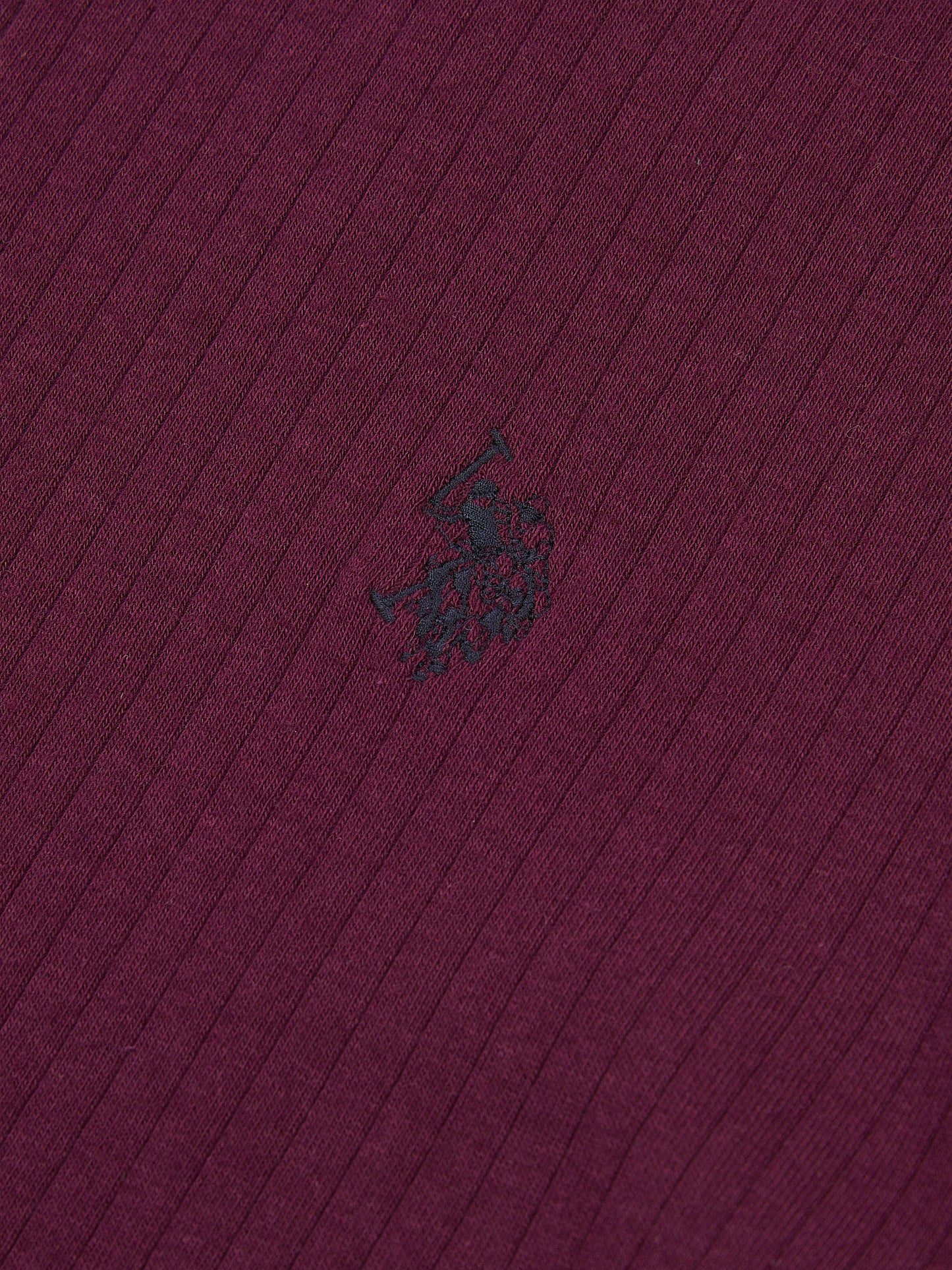 Mens Rib Texture Polo Shirt in Grape Wine
