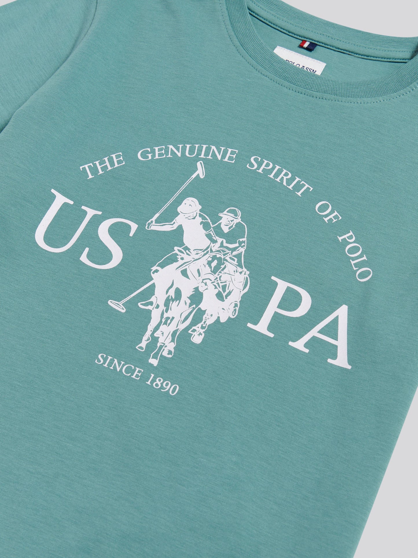 Boys USPA Print Graphic T-Shirt Arctic