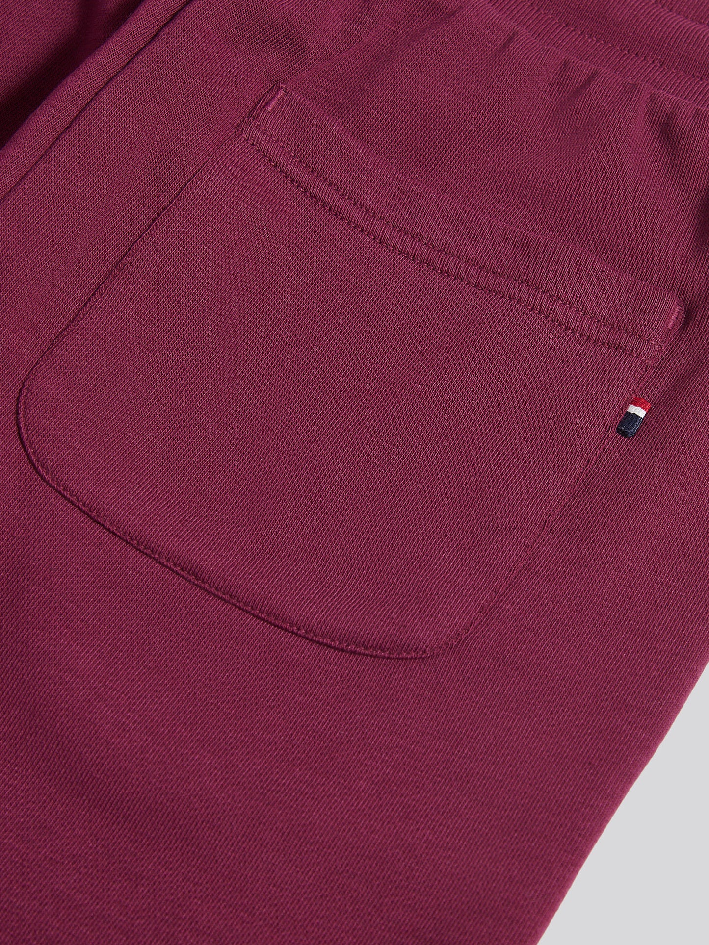 Boys Double Horsemen Loopback Jogger in Grape Wine