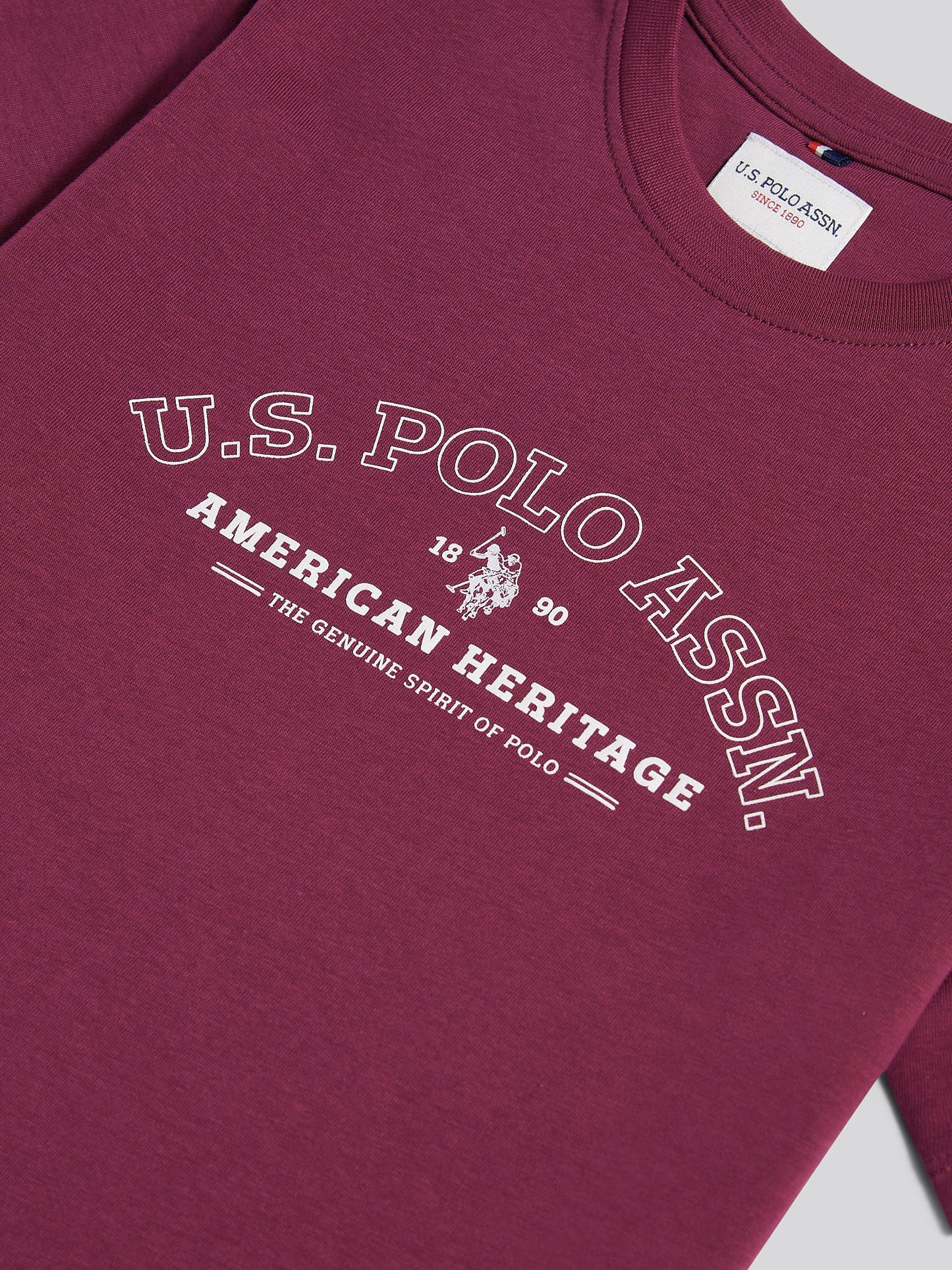 Boys Heritage Graphic Print T-Shirt in Grape Wine