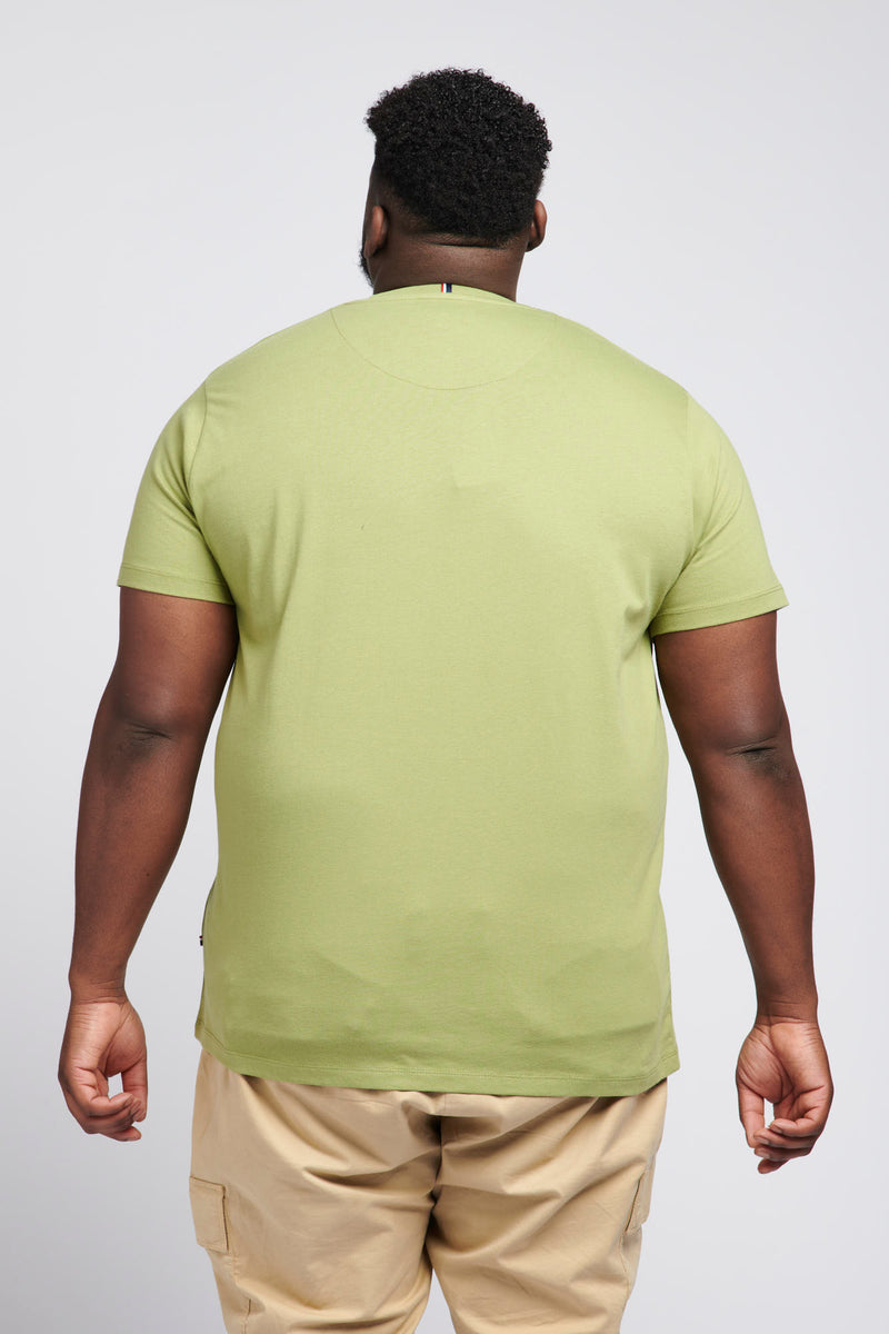 Mens Big & Tall Core T-Shirt in Mosstone