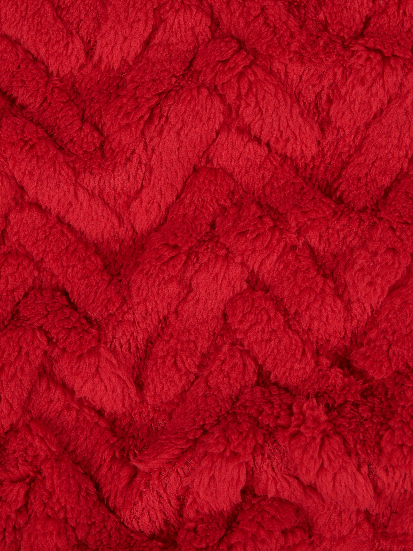 Premium Fern Jacquard Throw & Cushion Set in Savvy Red