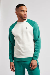 Mens Colour Block Sweatshirt in Ivy