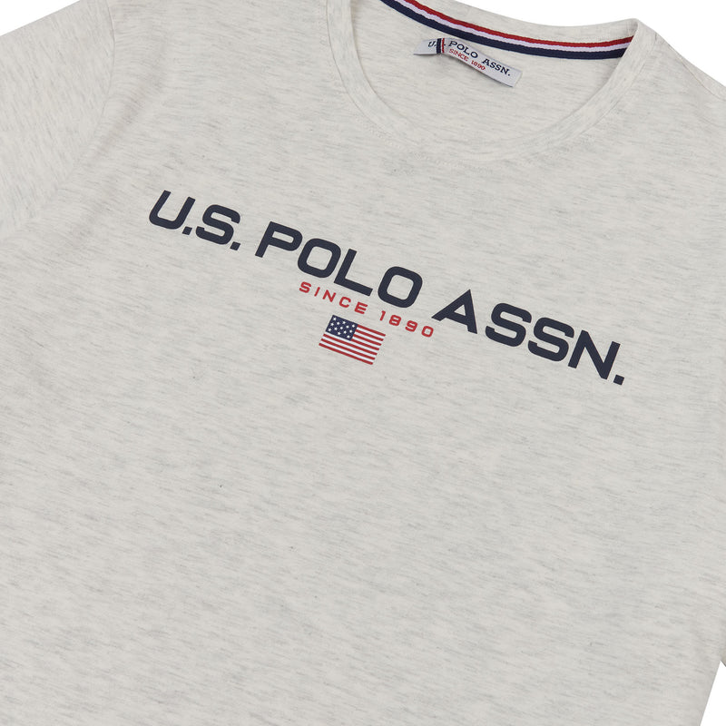 Mens Block Flag Graphic T-Shirt in Light Grey Marl