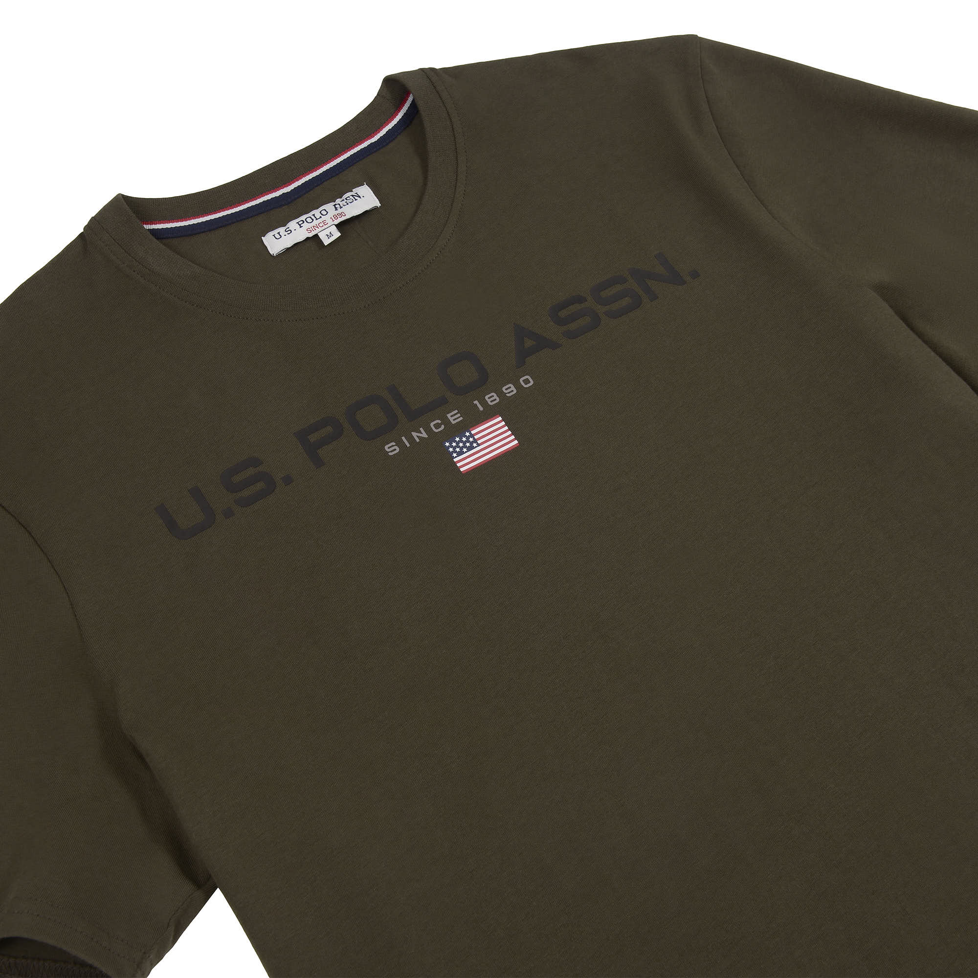 Mens Block Flag Graphic T-Shirt in Army Green