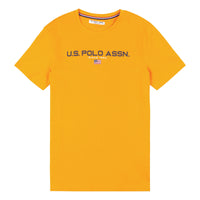 Mens Block Flag Graphic T-Shirt in Apricot