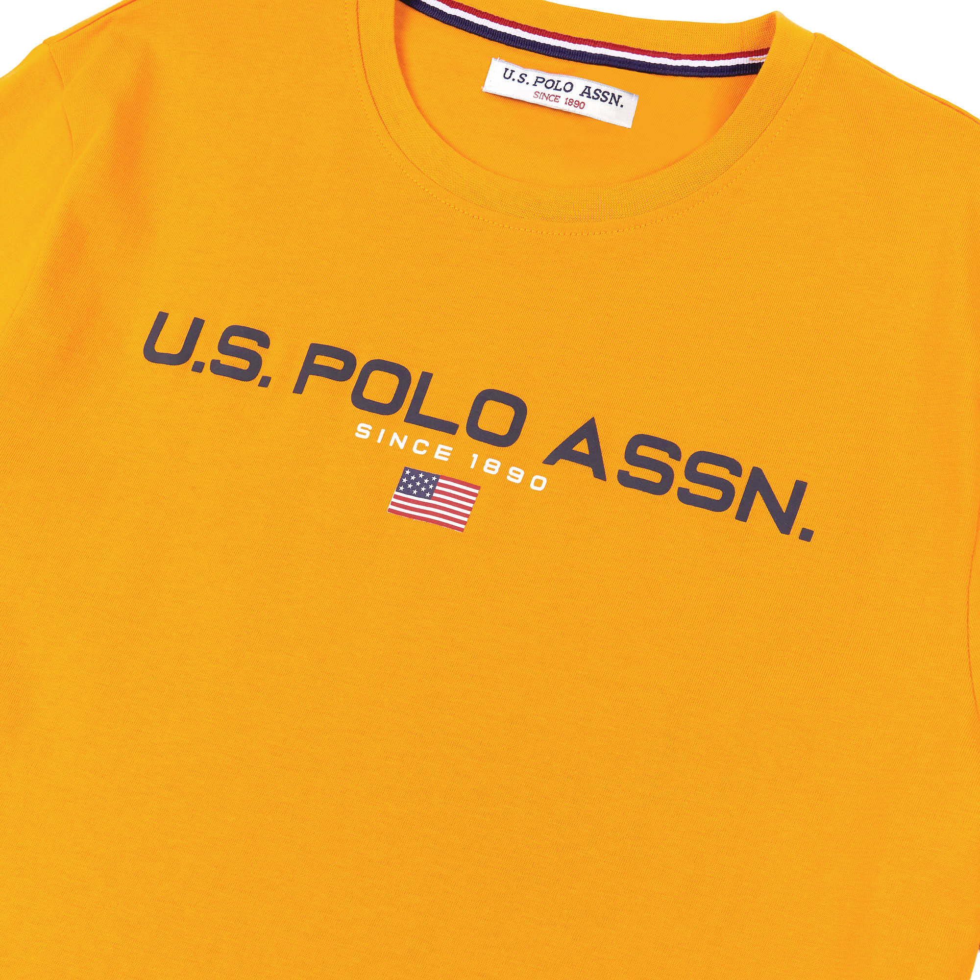 Mens Block Flag Graphic T-Shirt in Apricot
