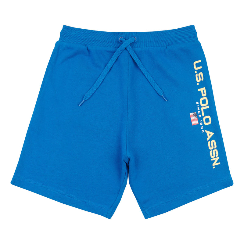 Mens Block Flag Graphic Shorts in Classic Blue