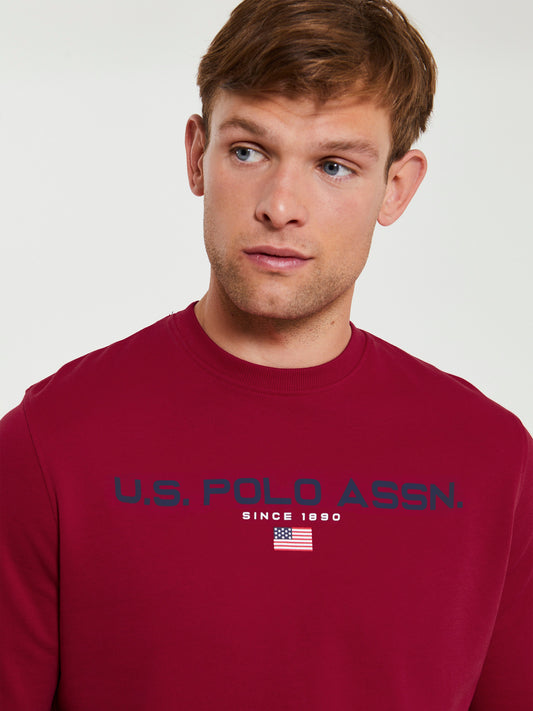 Mens Block Flag Graphic Crew Neck Sweatshirt in Biking Red
