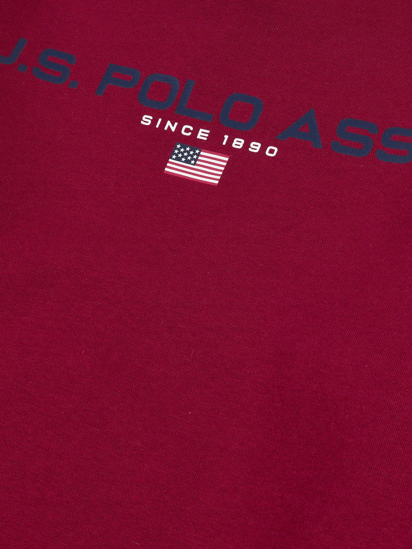 Mens Block Flag Graphic Crew Neck Sweatshirt in Biking Red