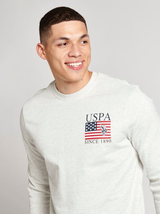 Mens Vintage USPA Since 1890 Crew Neck Sweatshirt in Light Grey Marl