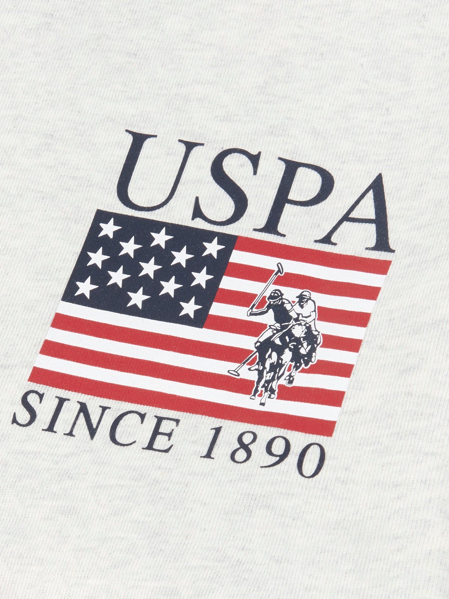 Mens Vintage USPA Since 1890 Crew Neck Sweatshirt in Light Grey Marl