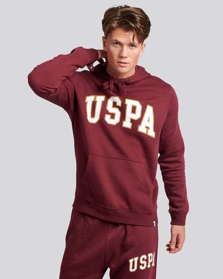 Mens Graphic Hoodie in Windsor Wine