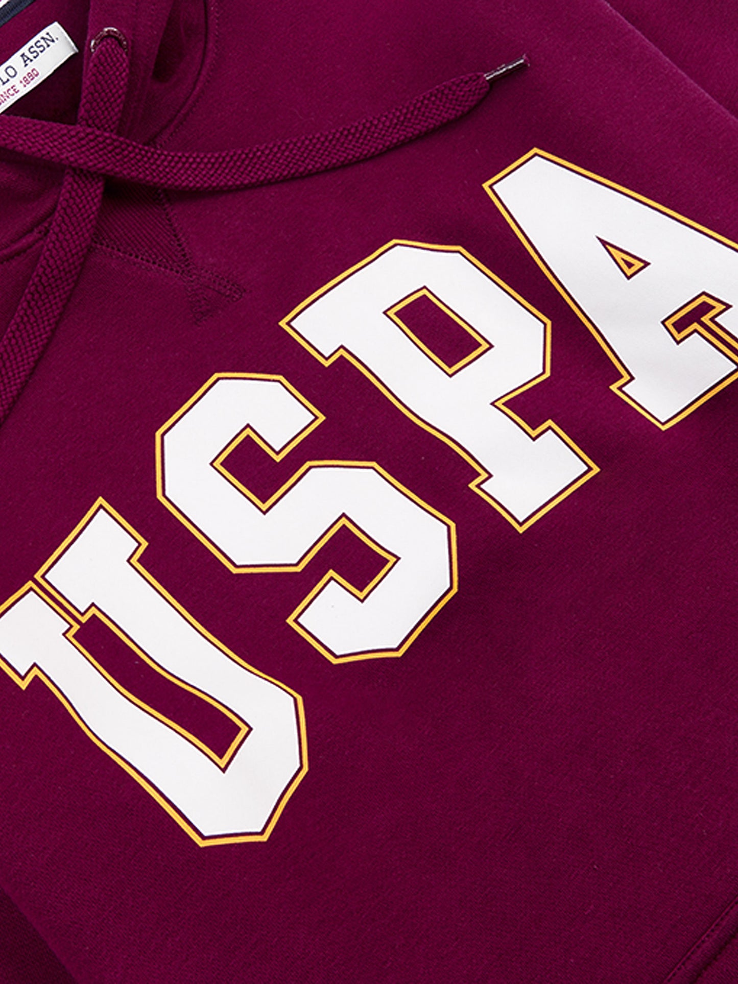 Mens Graphic Hoodie in Windsor Wine