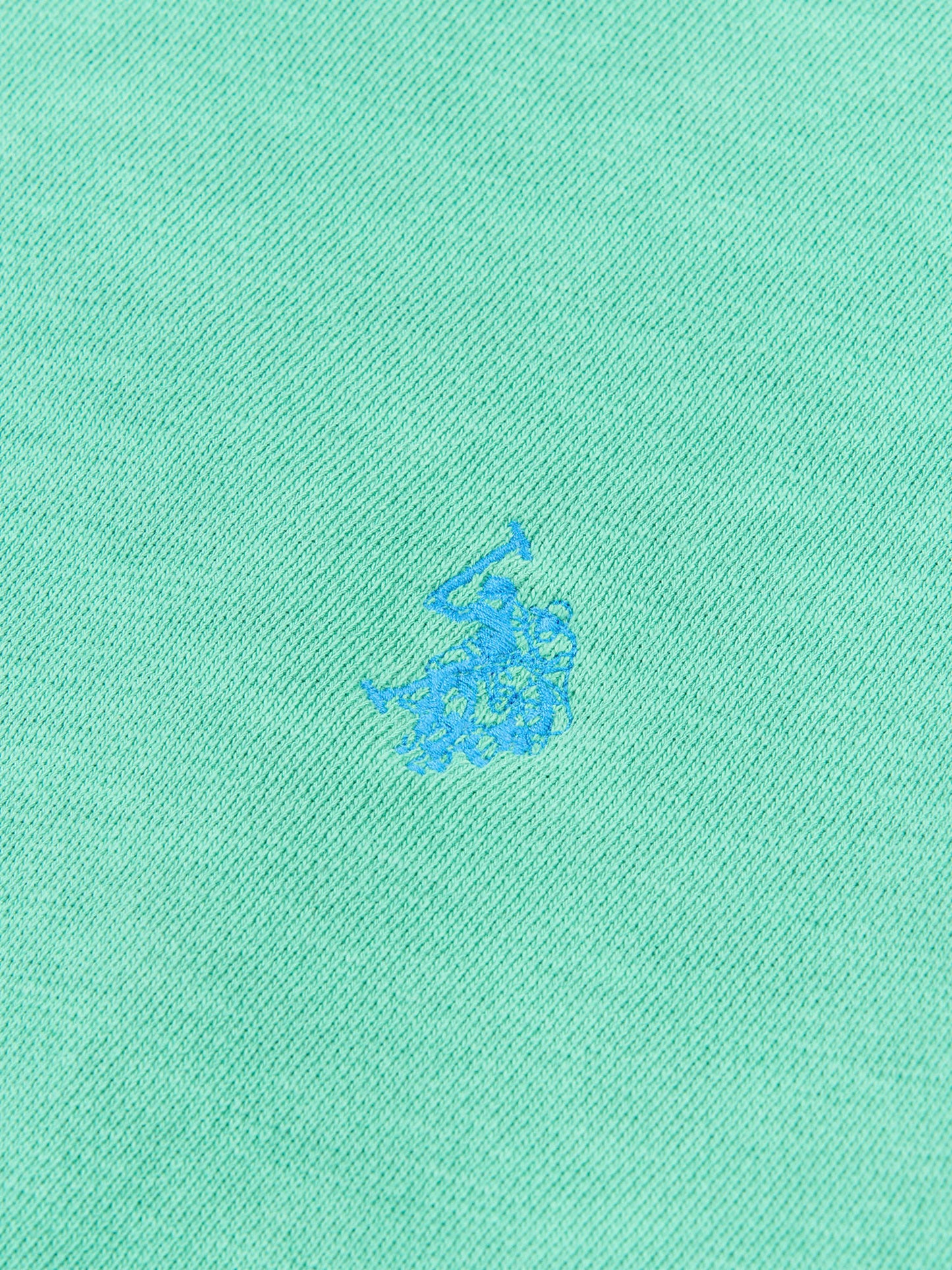 Mens Garment Dye Crew Neck Sweatshirt in Golf Green