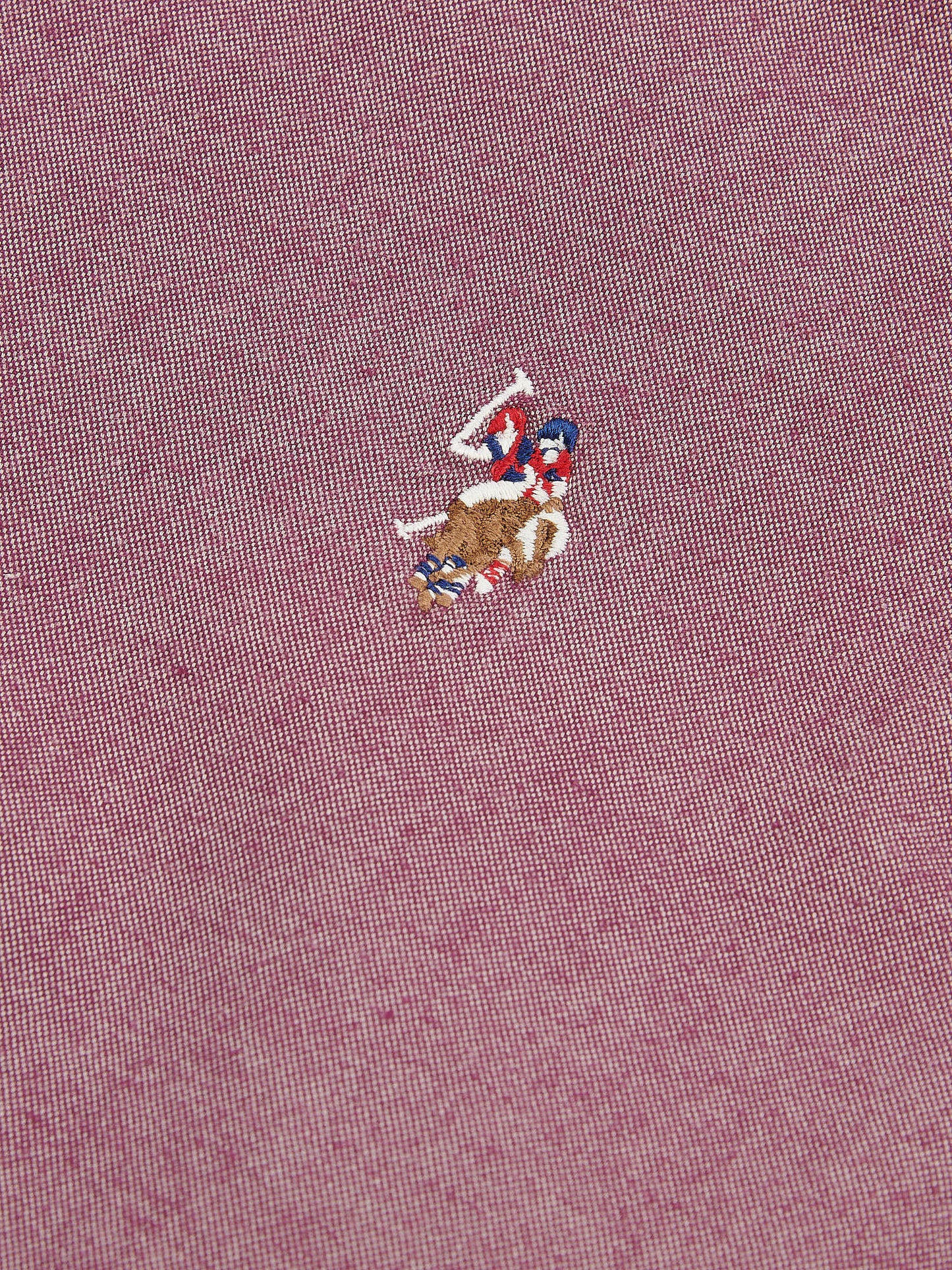 Mens Peached Oxford Shirt Grape Wine