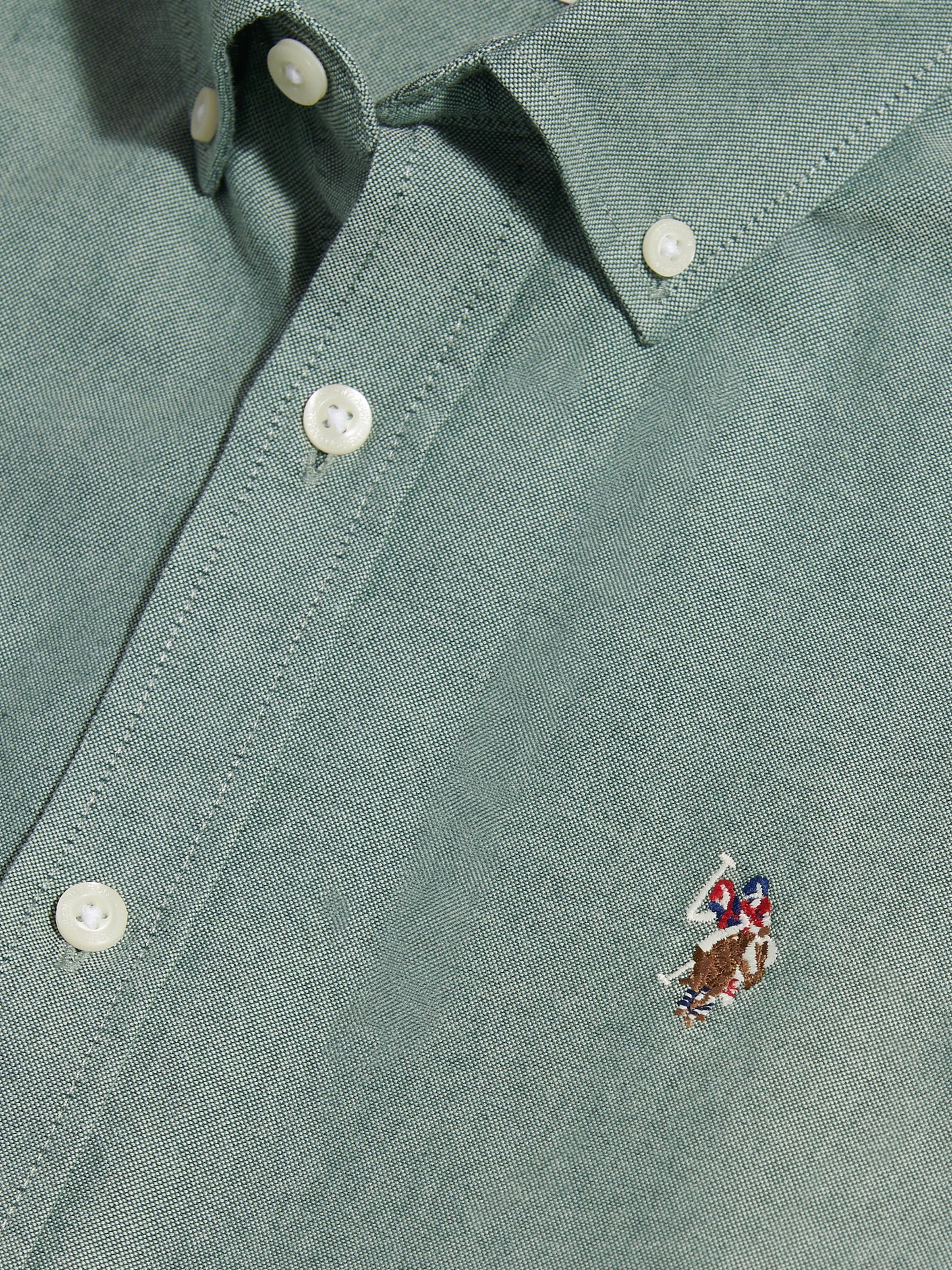 Mens Peached Oxford Shirt Lily Pad