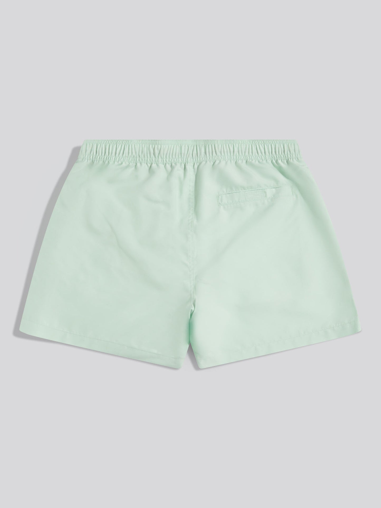 Mens Core Swim Short Pastel Green