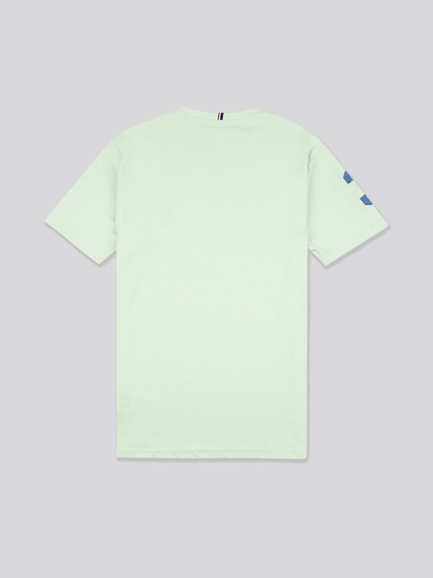 Mens Player 3 T-Shirt in Pastel Green