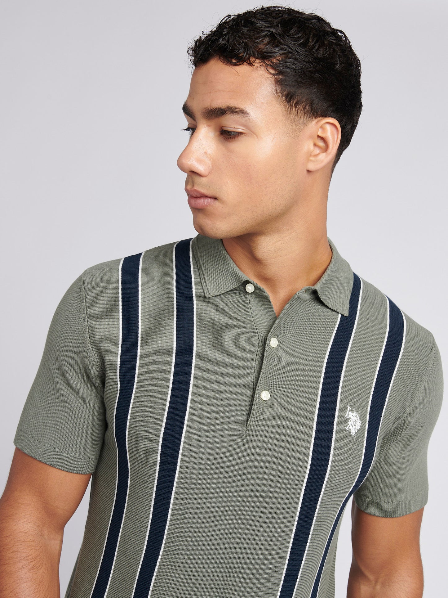 Mens Vertical Stripe Knit Polo Shirt in Mulled Basil