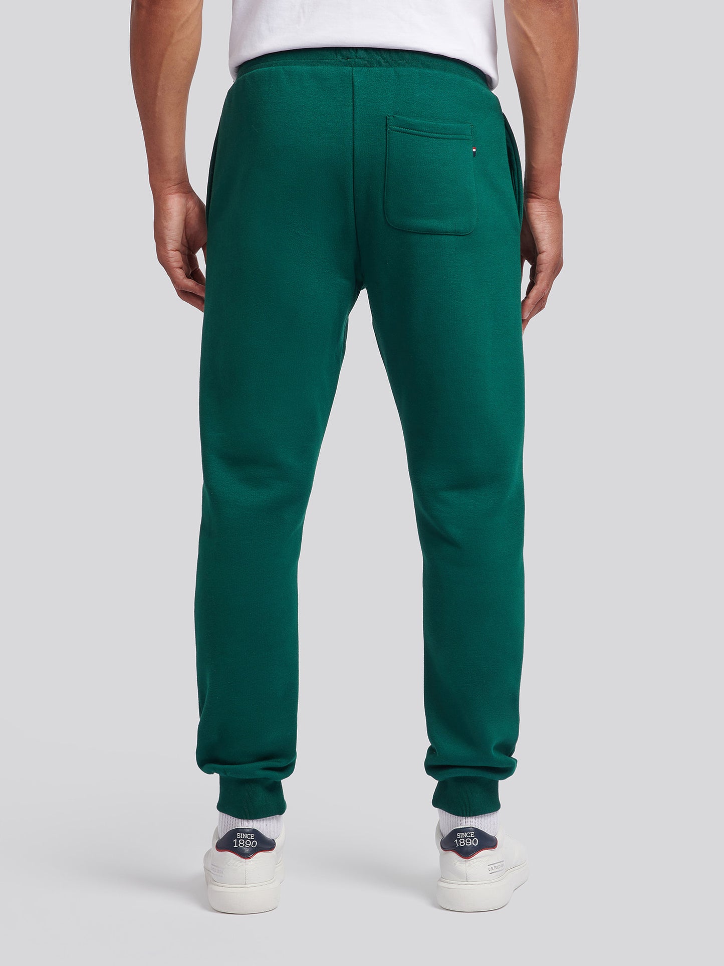 Mens Player 3 Jogger in Rain Forest