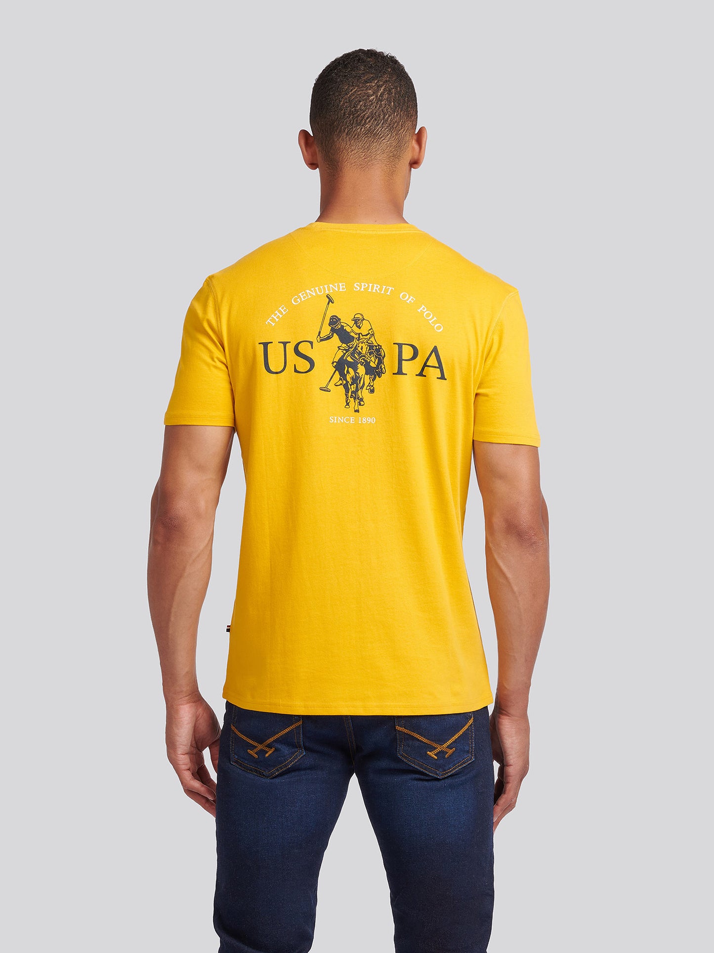 Mens Back Graphic T-Shirt in Mango Mojito