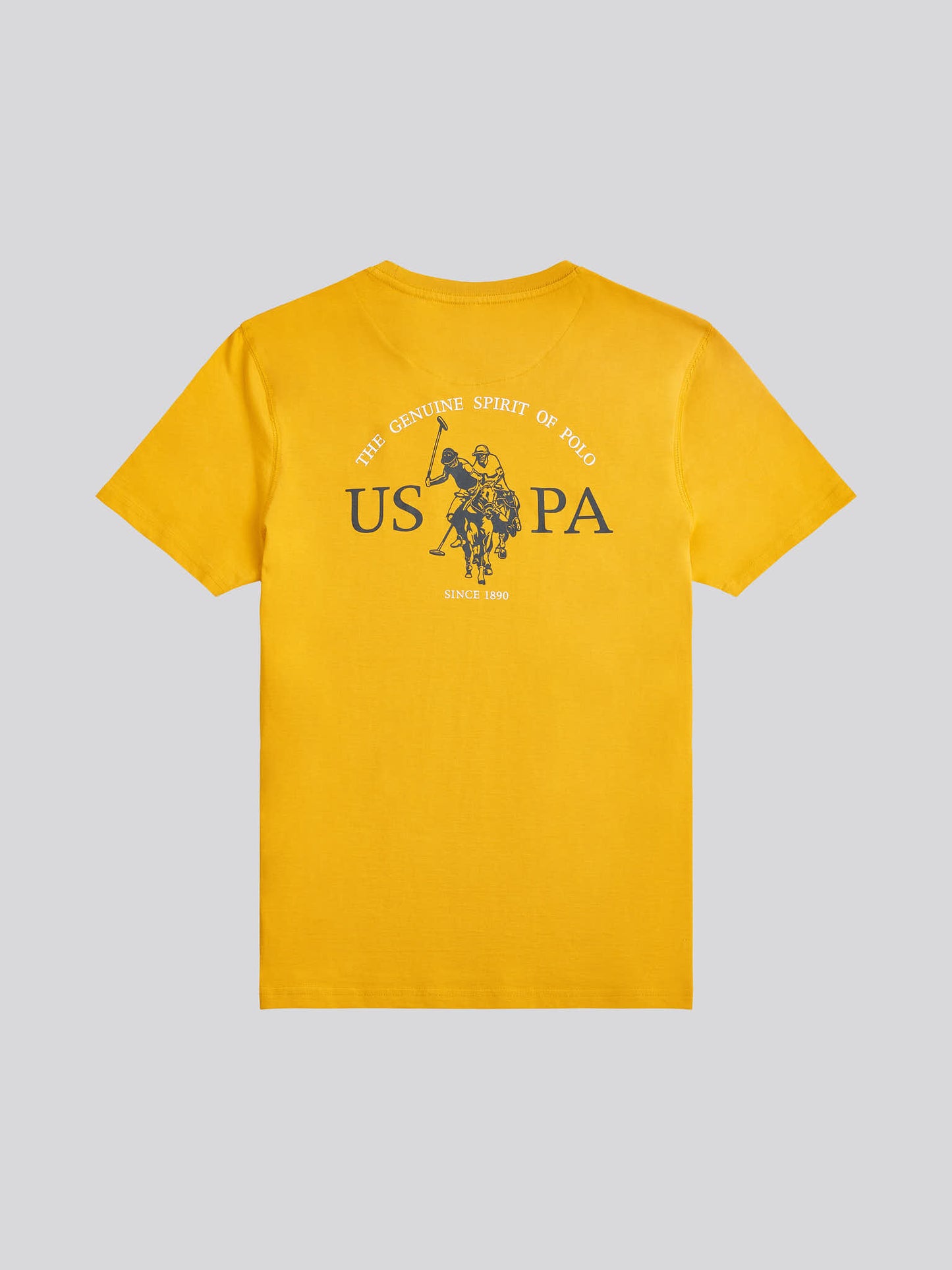 Mens Back Graphic T-Shirt in Mango Mojito