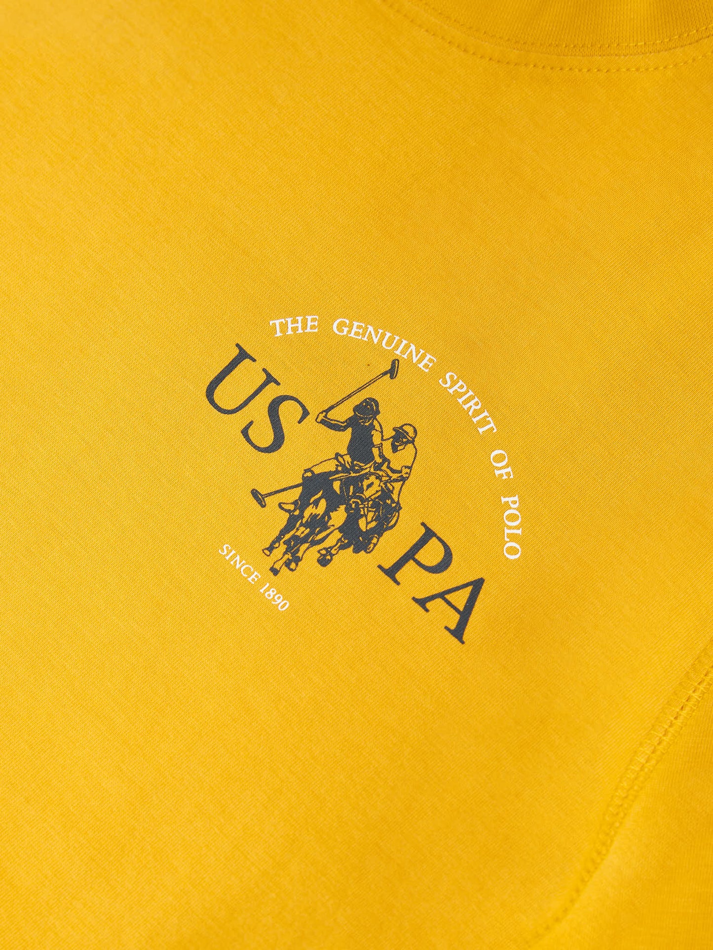 Mens Back Graphic T-Shirt in Mango Mojito