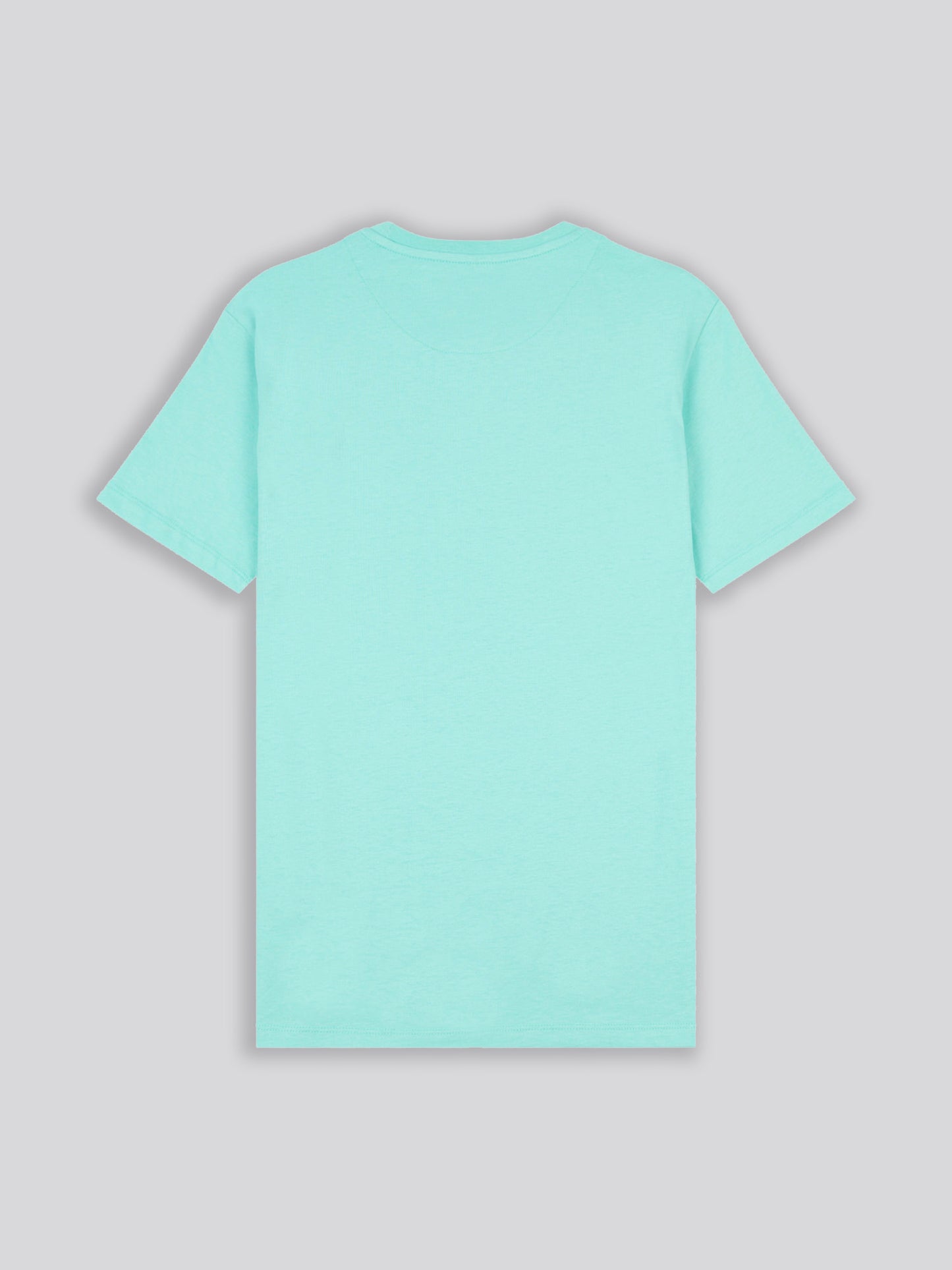 Mens USPA Print Graphic T-Shirt in Pool Blue