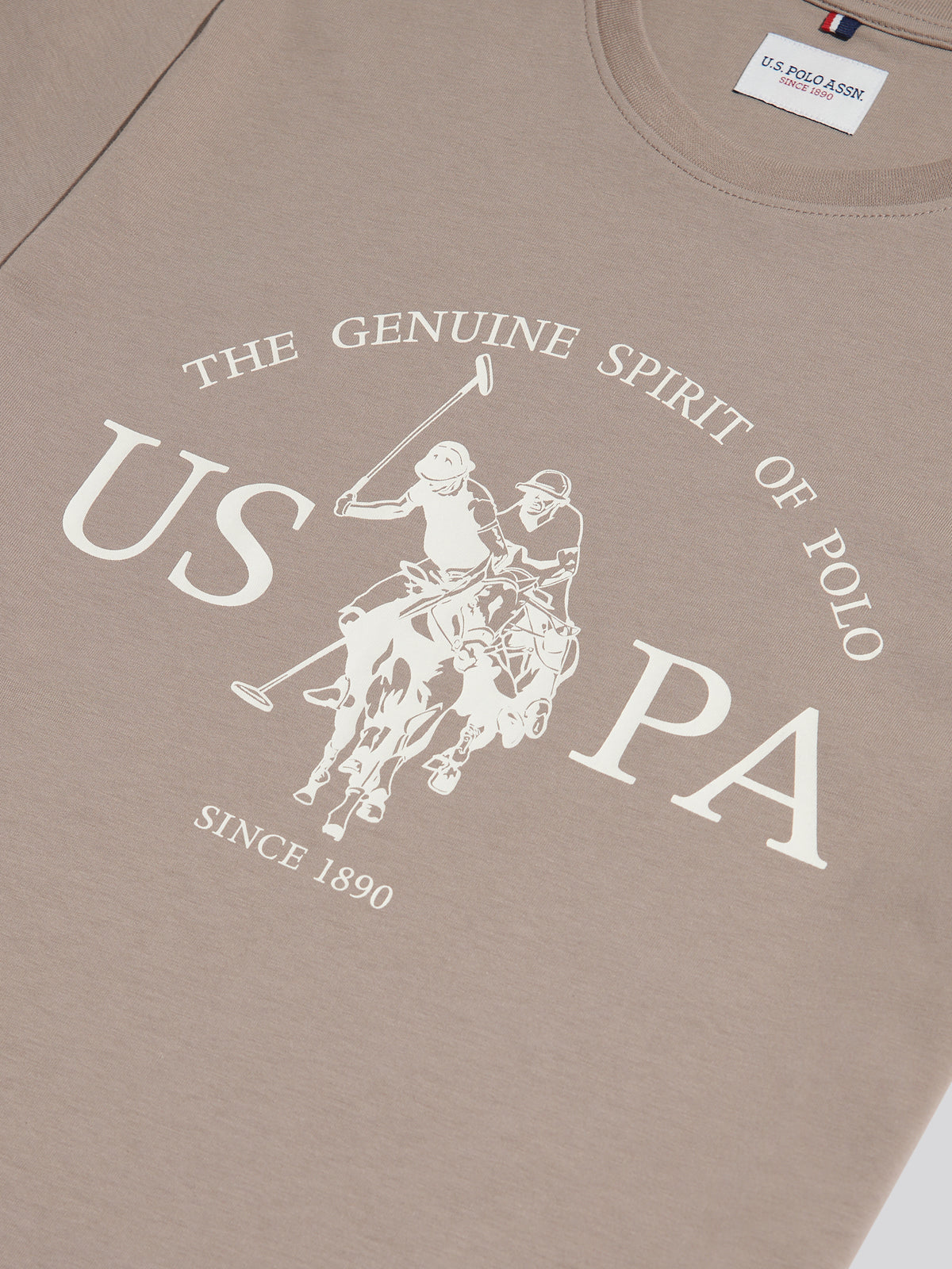Mens USPA Print Graphic T-Shirt Cinder