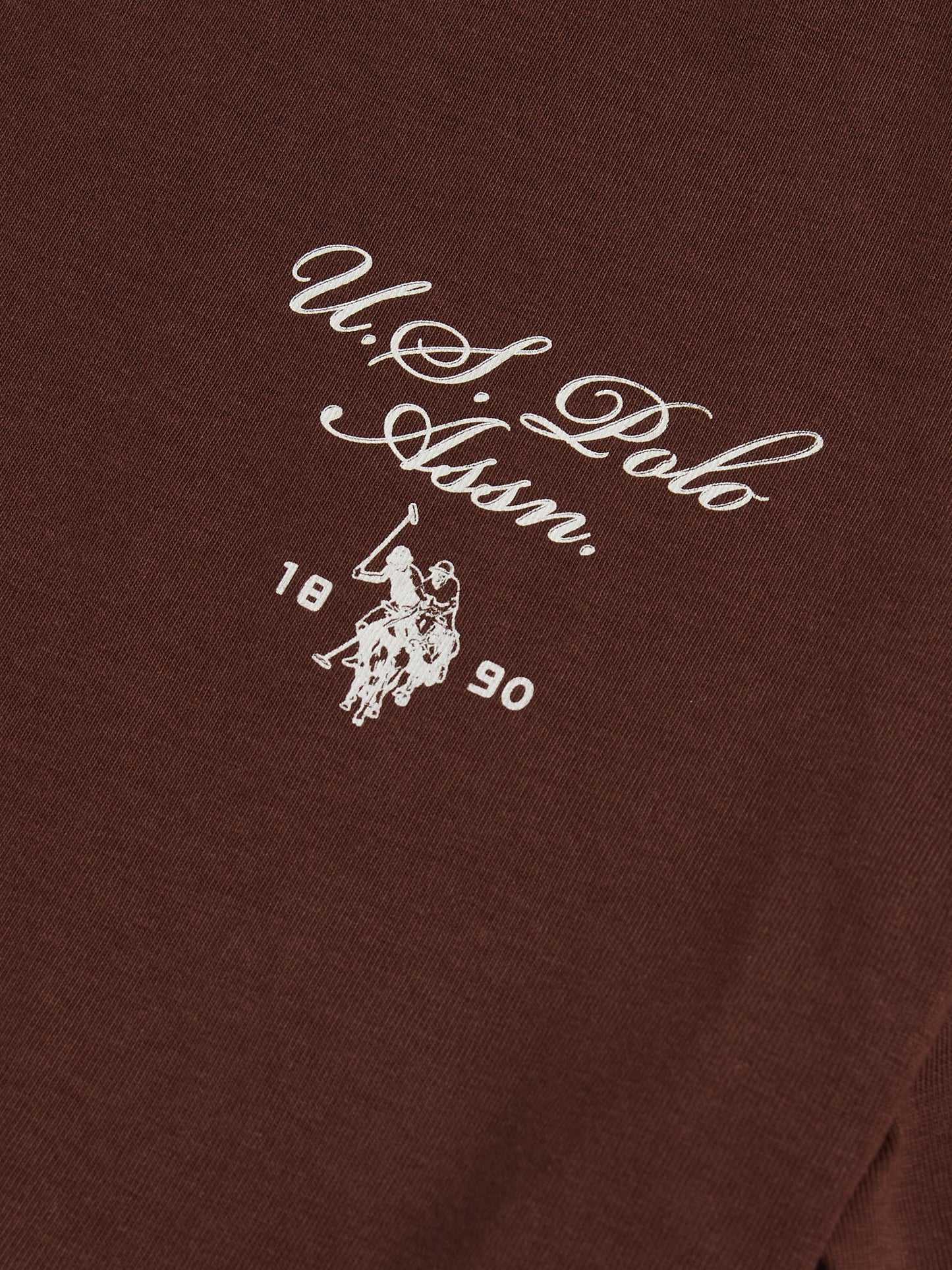 Mens Script Print Back Graphic T-Shirt in Chocolate Martini