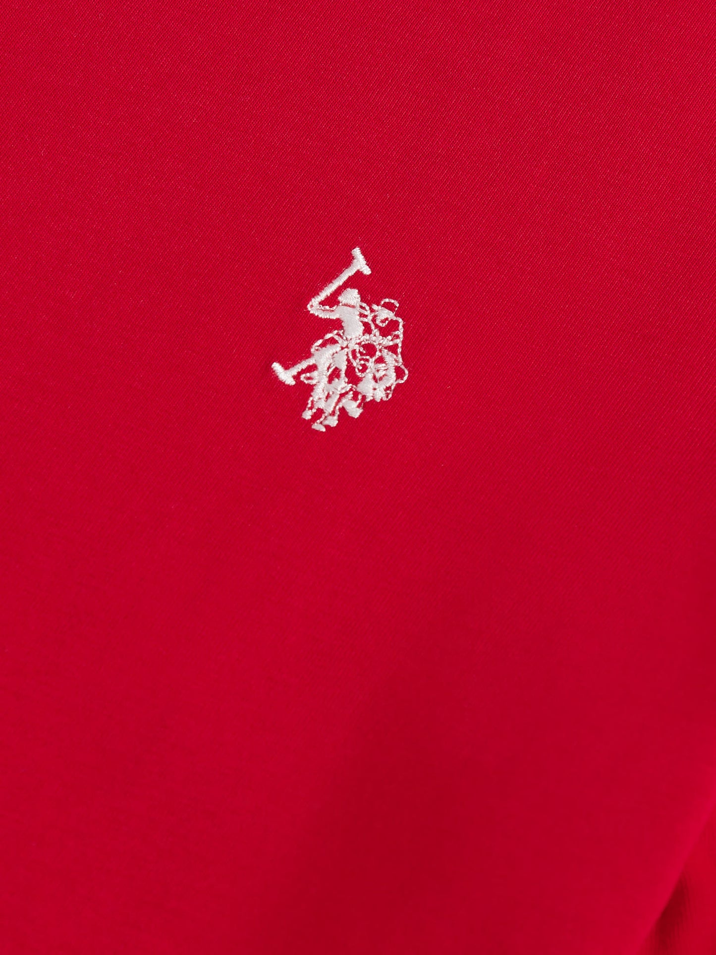 Mens USPA Back Graphic T-Shirt in Haute Red