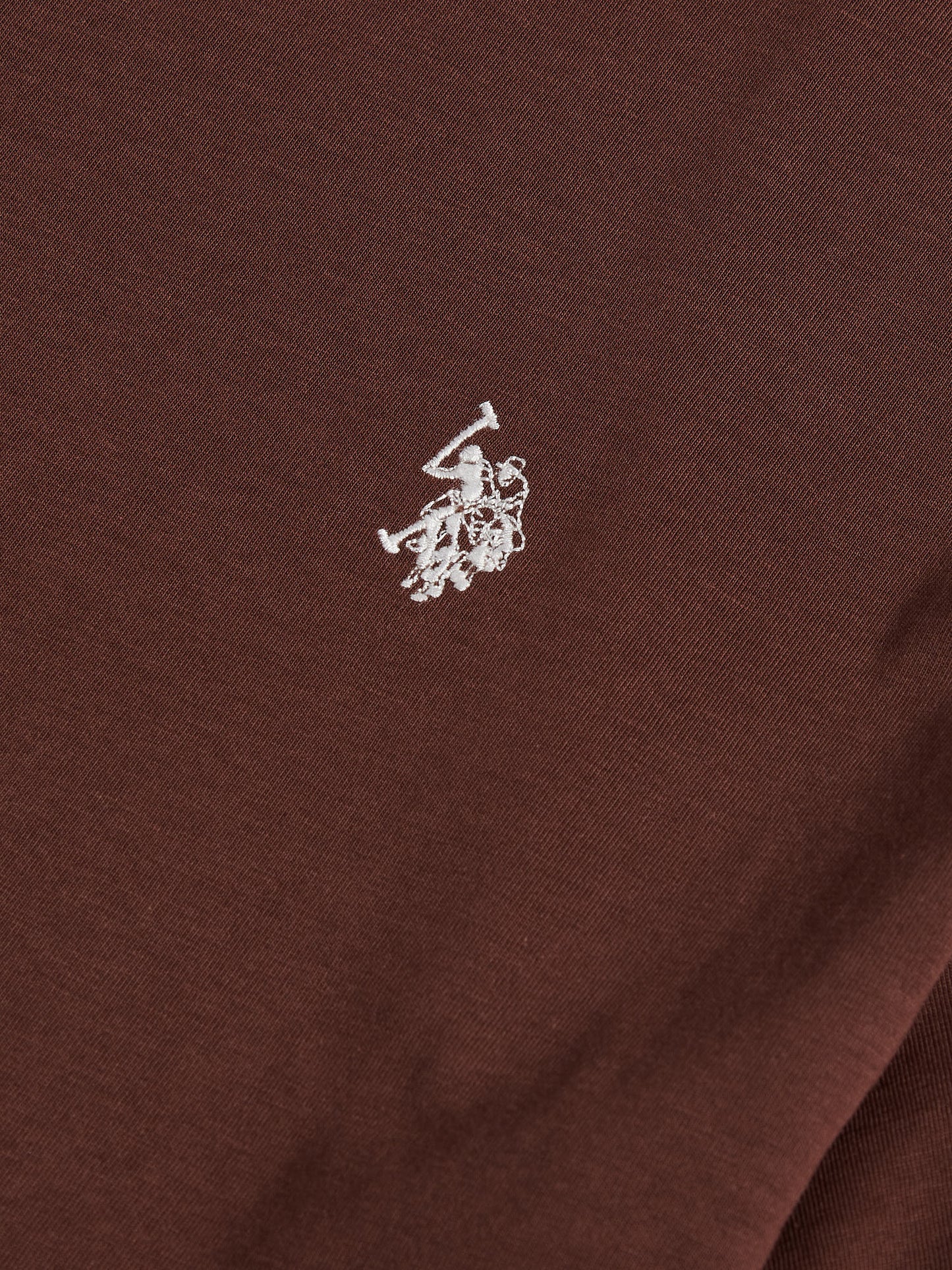 Mens USPA Back Graphic T-Shirt in Chocolate Martini