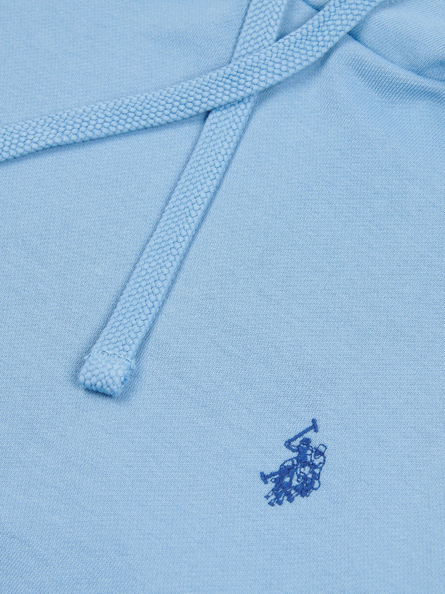 Mens Double Horsemen Loopback Hoodie in Allure