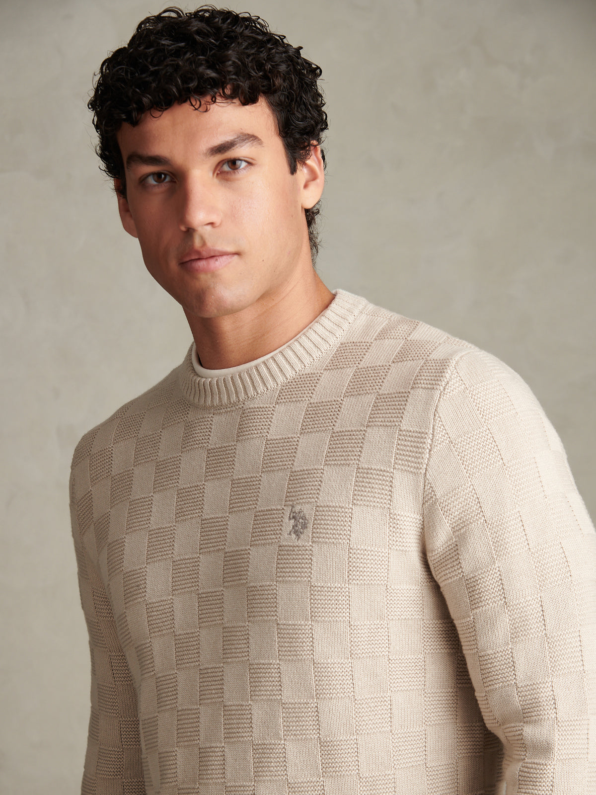 Mens Large Check Textured Knit Crew Neck Jumper Nacreous Clouds