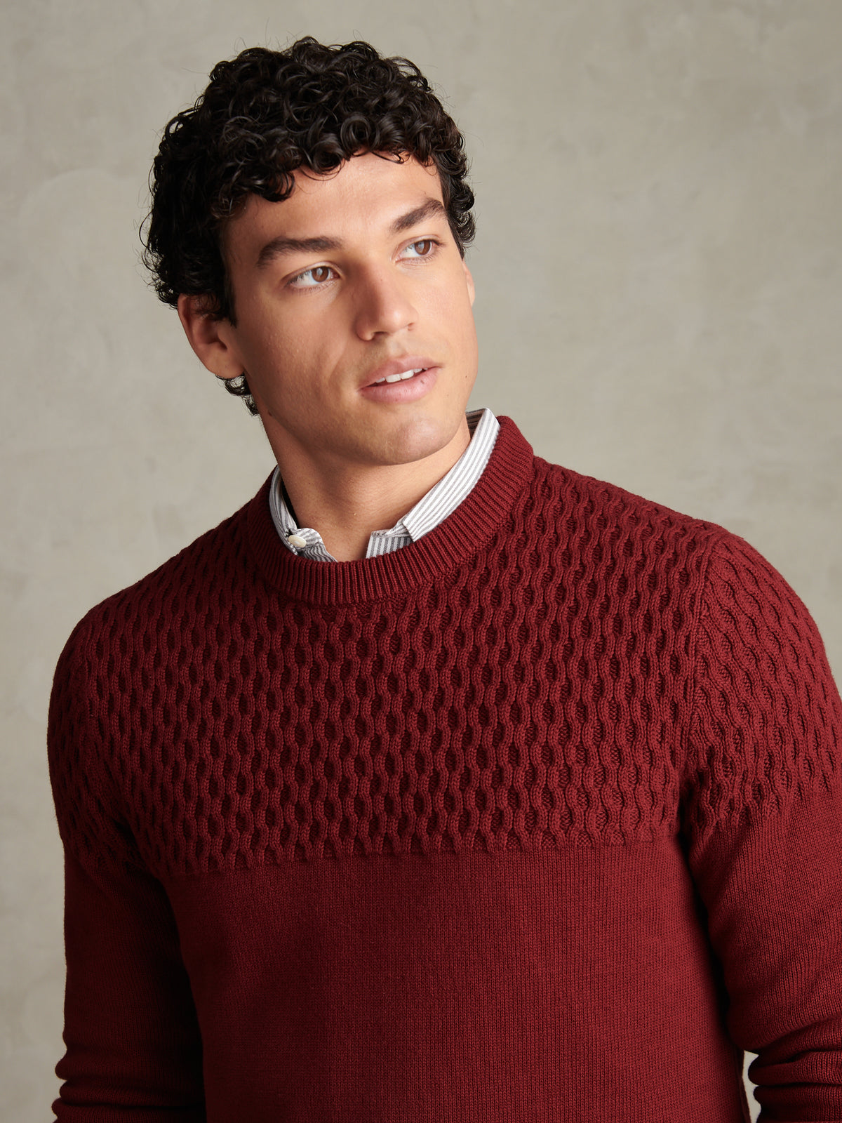 Mens Honeycomb Mixed Knit Crew Neck Jumper Cabernet