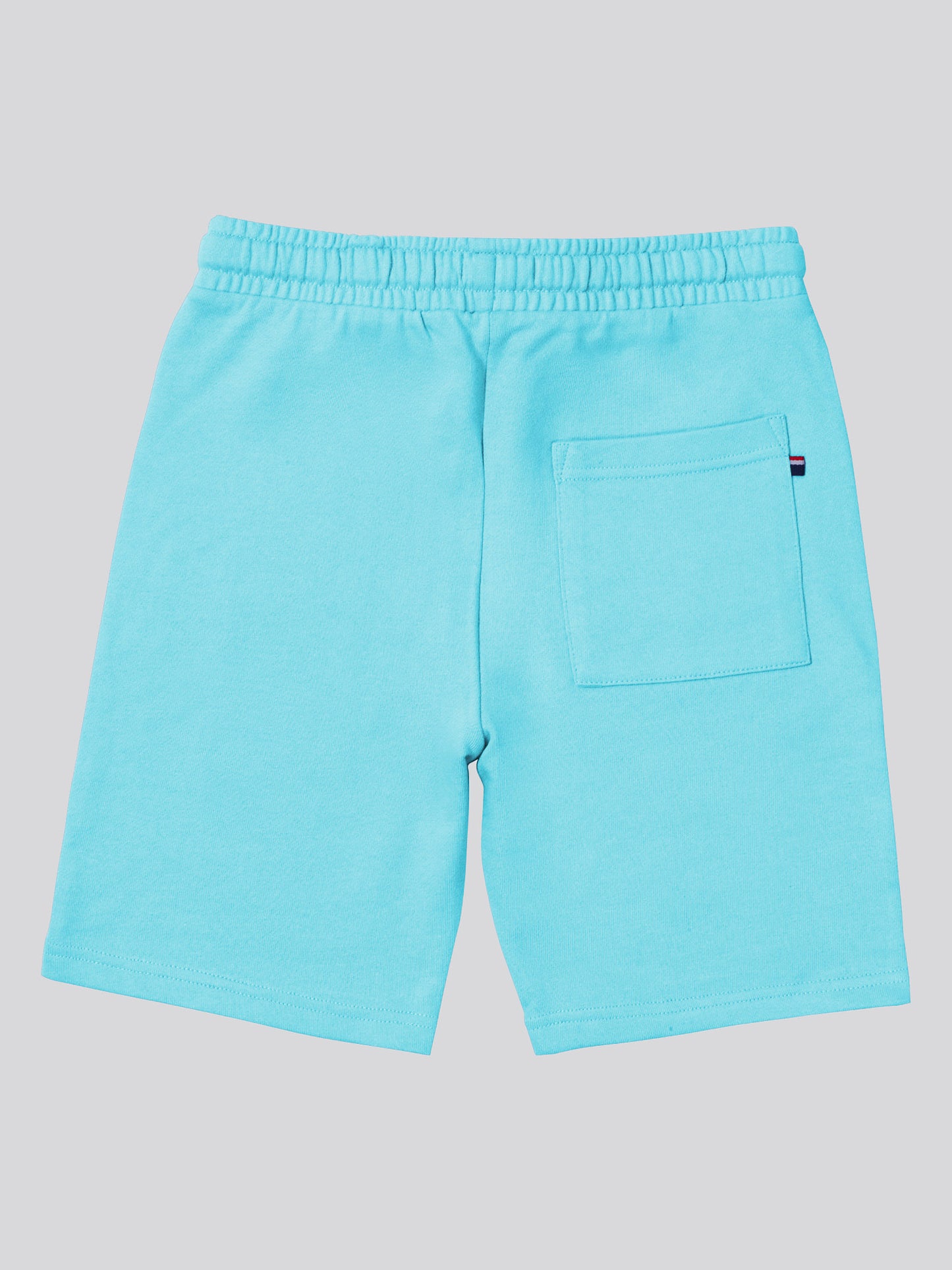 Boys Sweat Shorts in Blue Radiance
