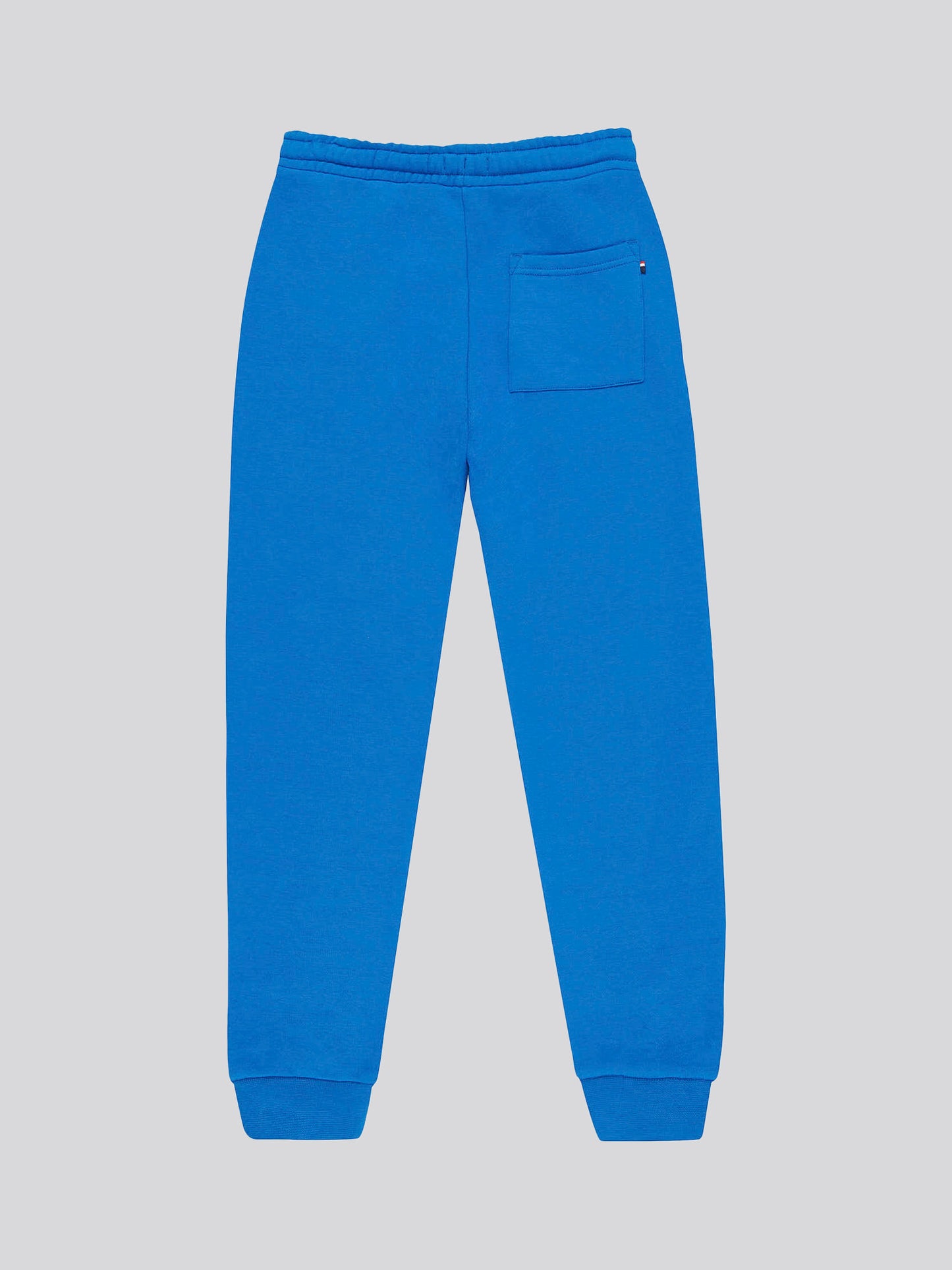 Boys Block Flag Graphic Joggers in Classic Blue