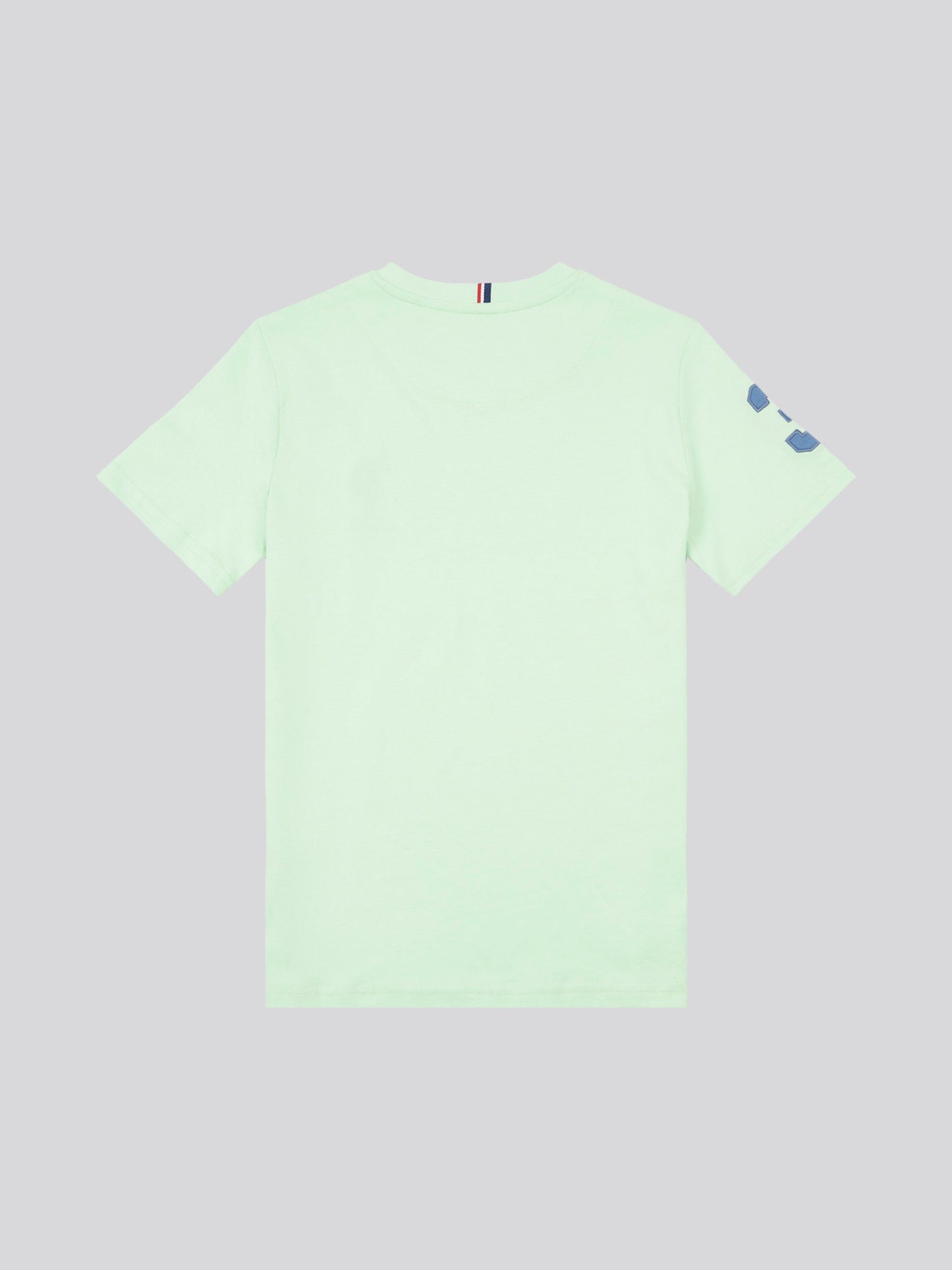 Boys Player 3 T-Shirt in Pastel Green