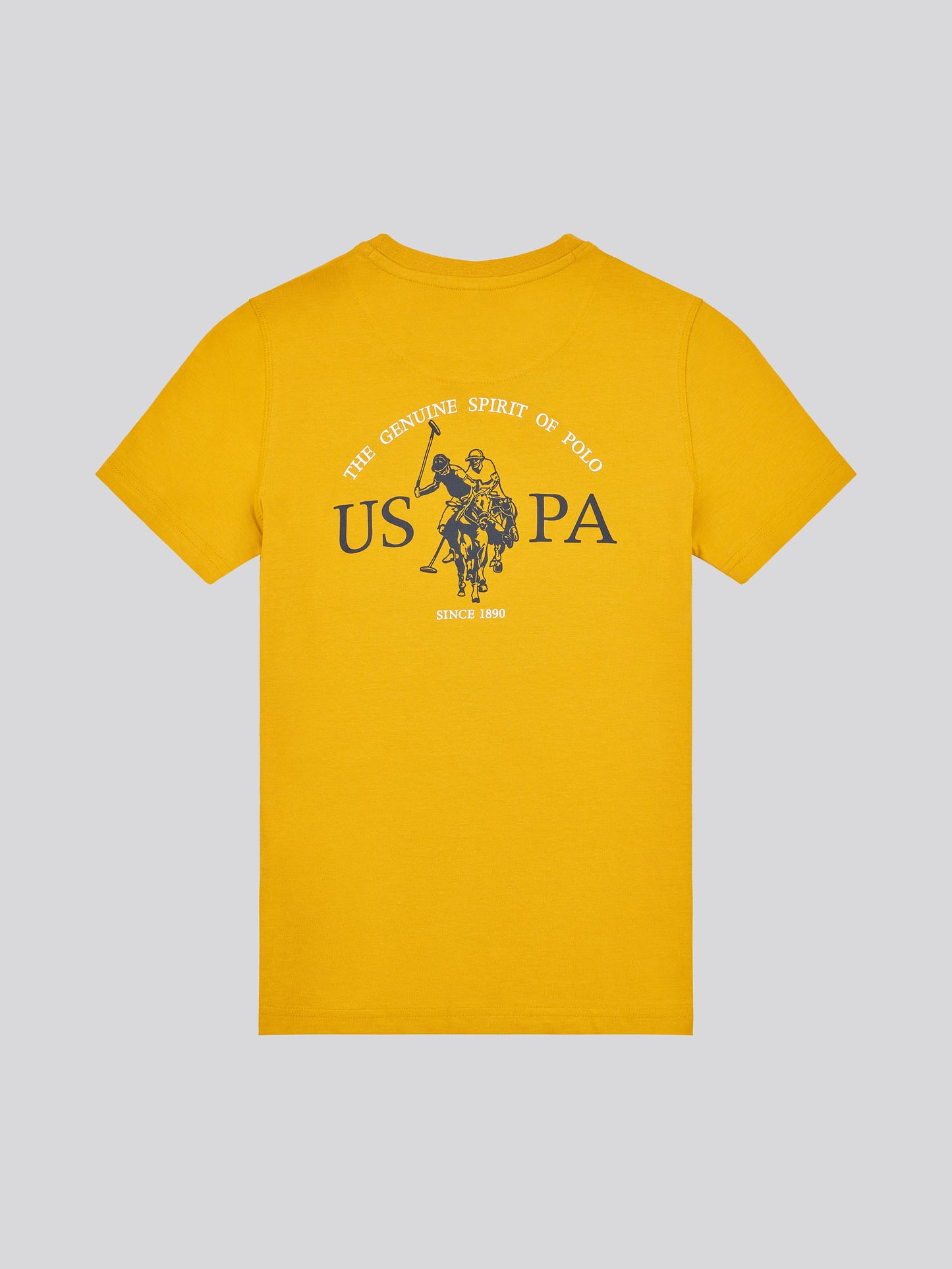 Boys Back Graphic T-Shirt in Mango Mojito