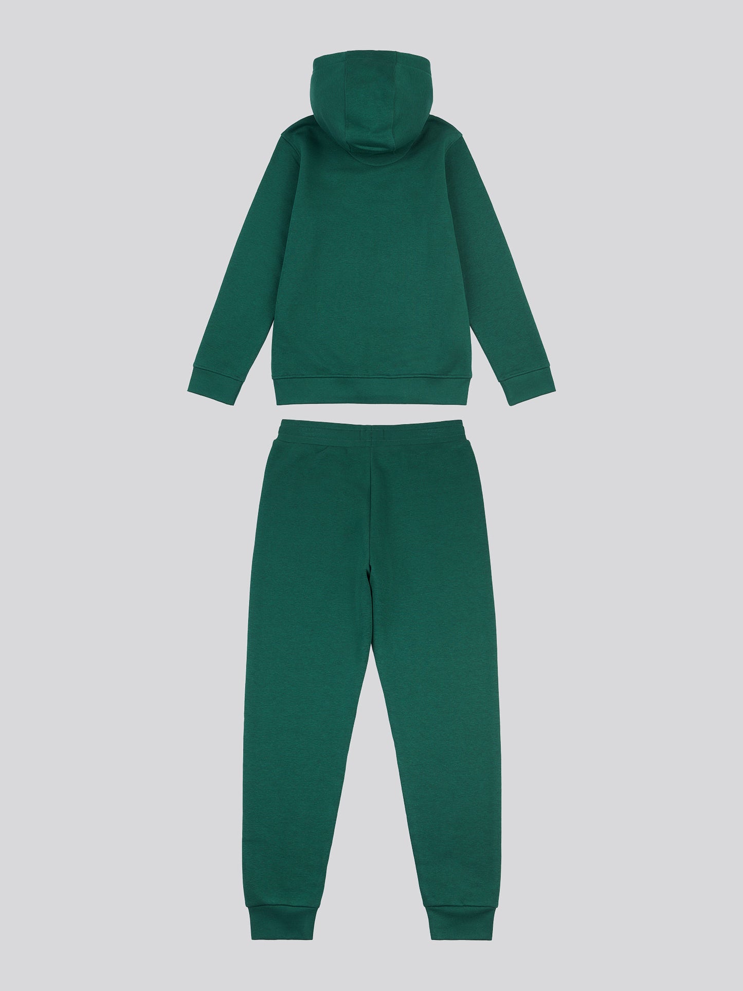 Boys Double Horsemen Hoodie & Jogger Set in Rain Forest