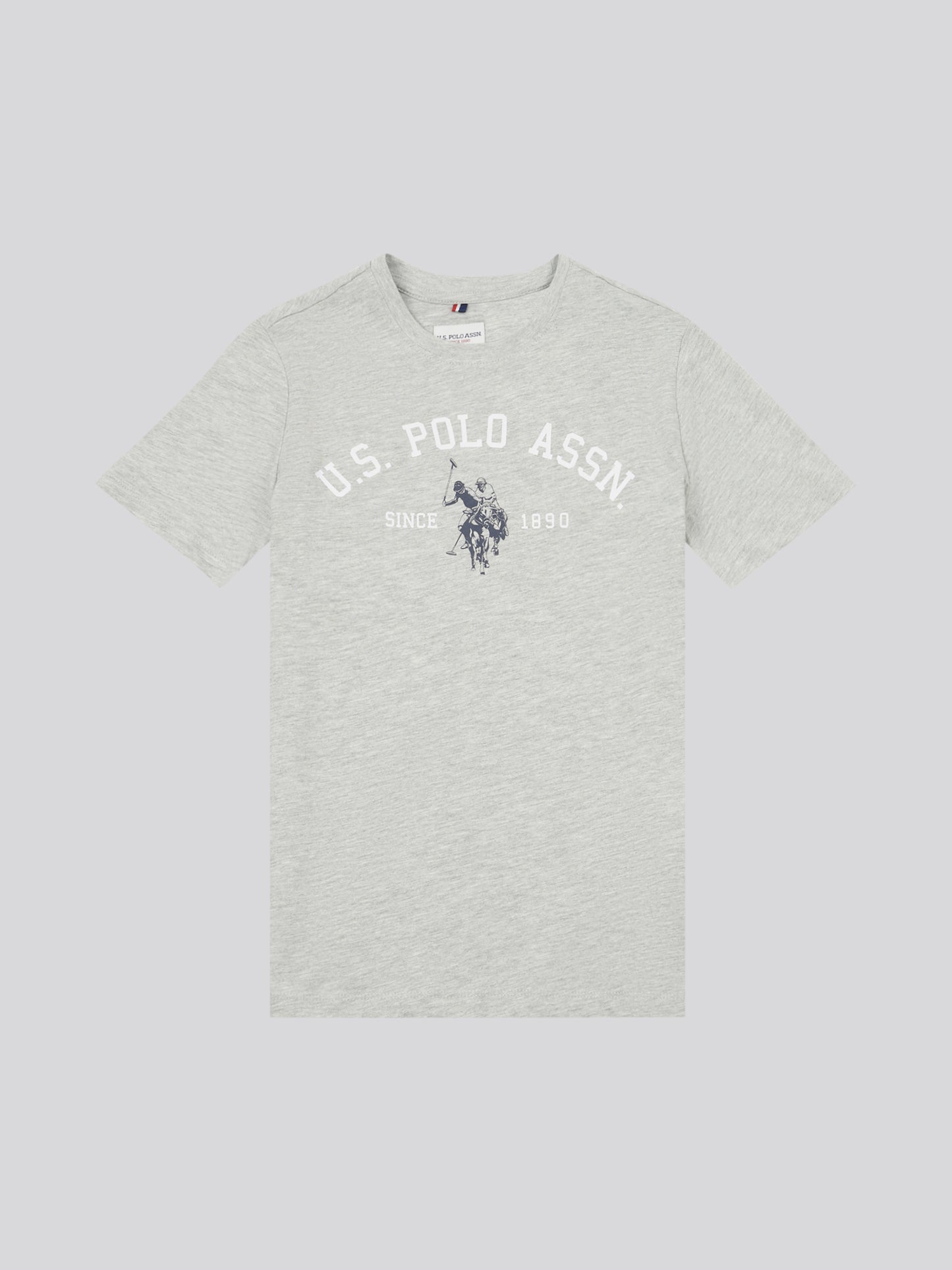 Boys Signature Arch Print T-Shirt in Mid Grey Marl
