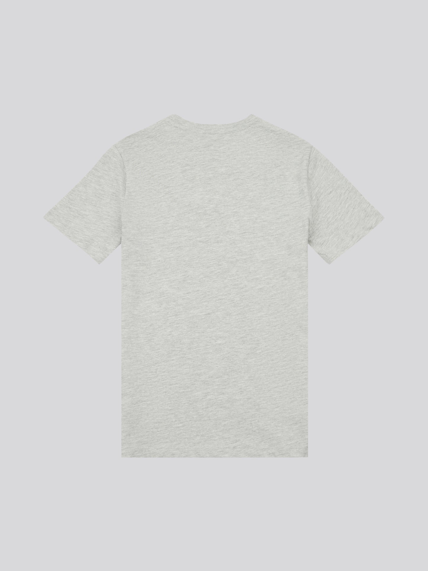 Boys Signature Arch Print T-Shirt in Mid Grey Marl