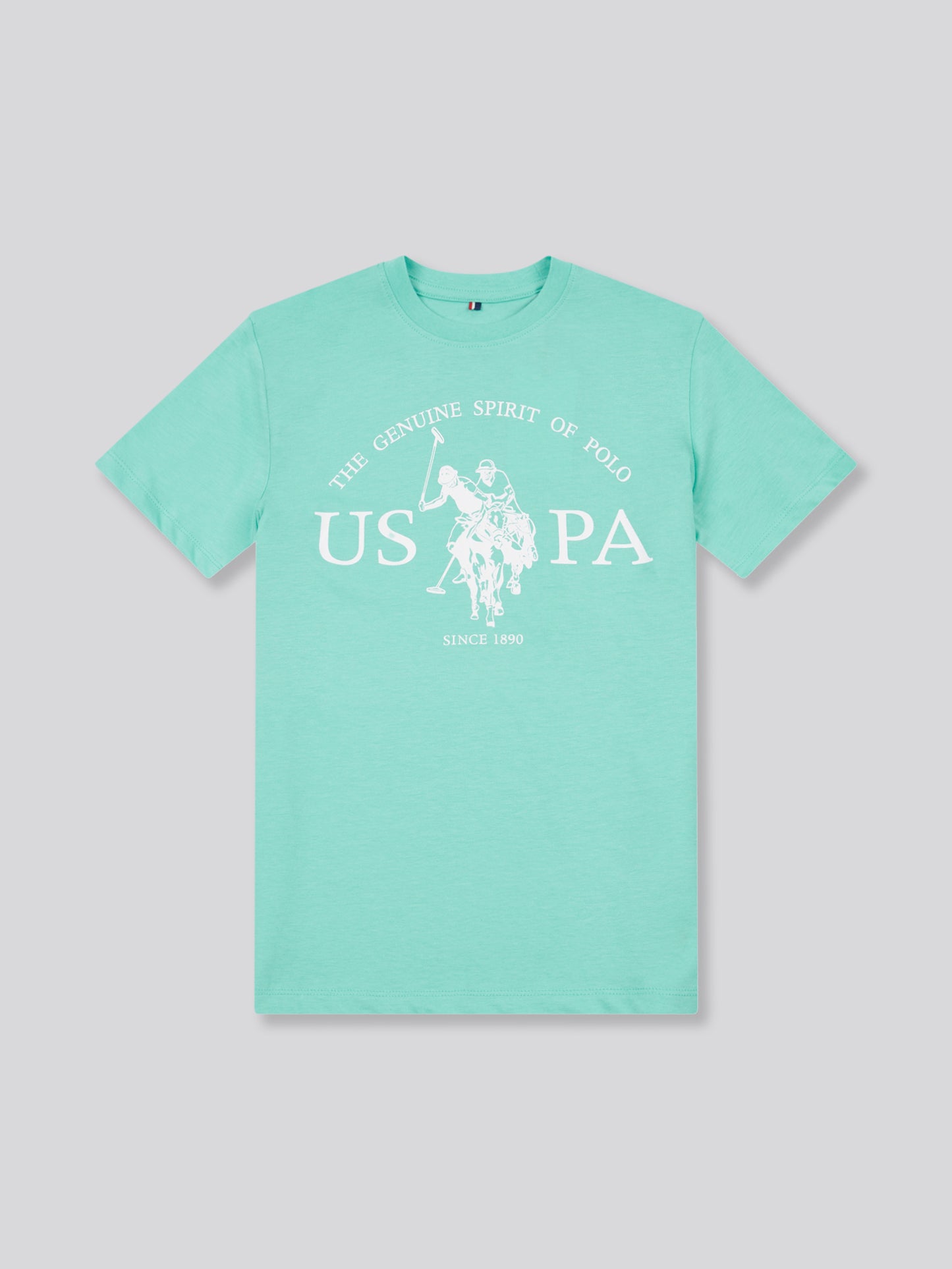 Boys USPA Print Graphic T-Shirt in Pool Blue