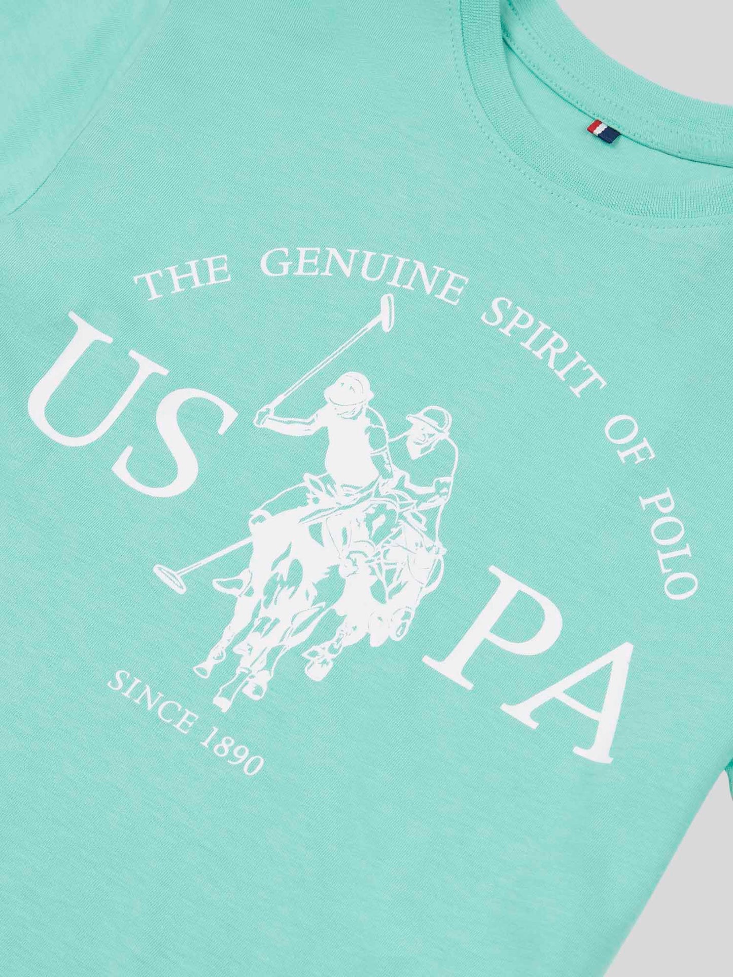 Boys USPA Print Graphic T-Shirt in Pool Blue