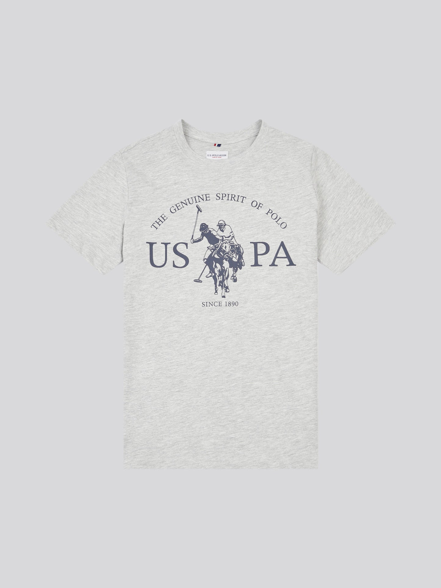 Boys USPA Print Graphic T-Shirt in Mid Grey Marl