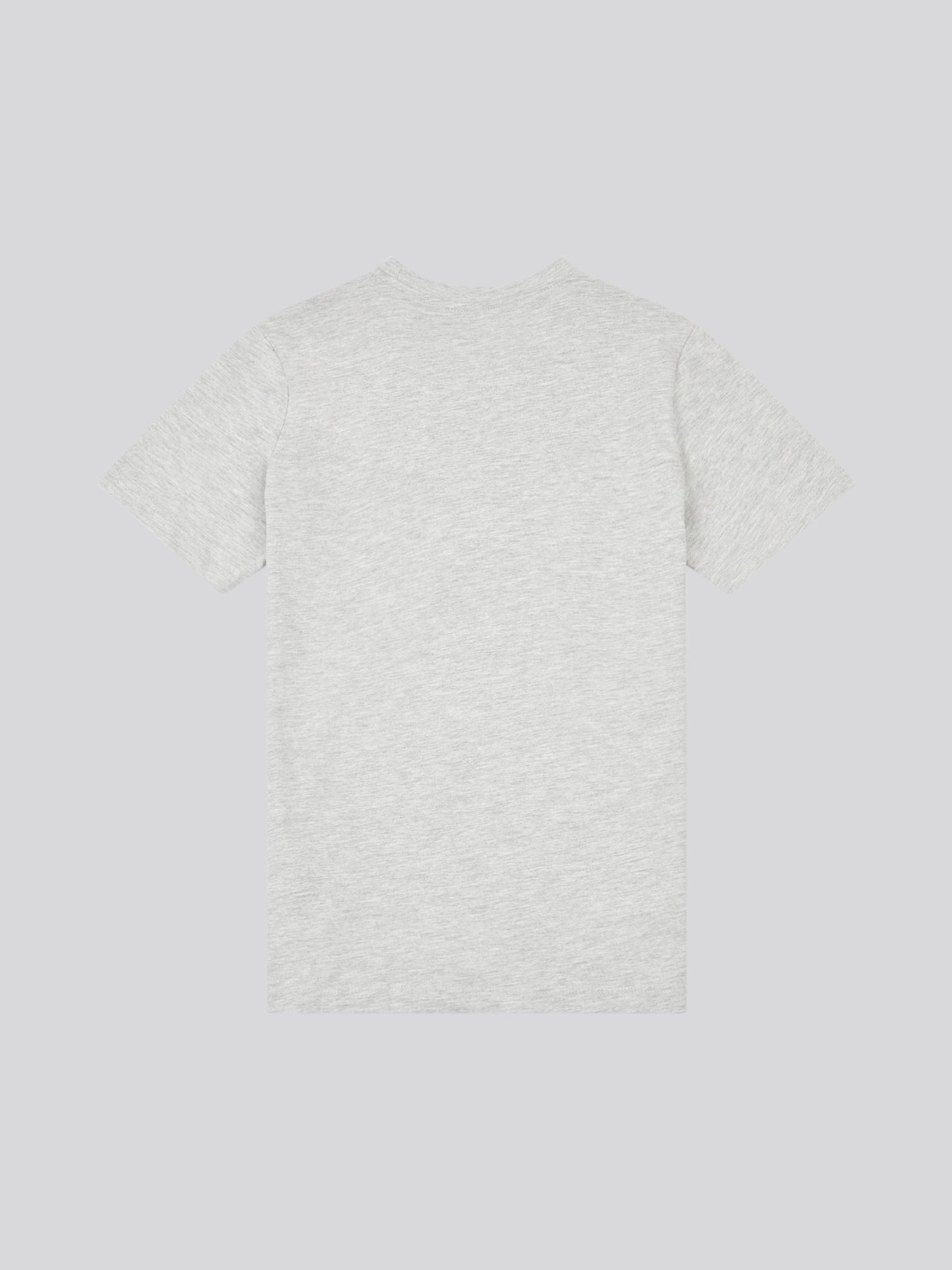 Boys USPA Print Graphic T-Shirt in Mid Grey Marl