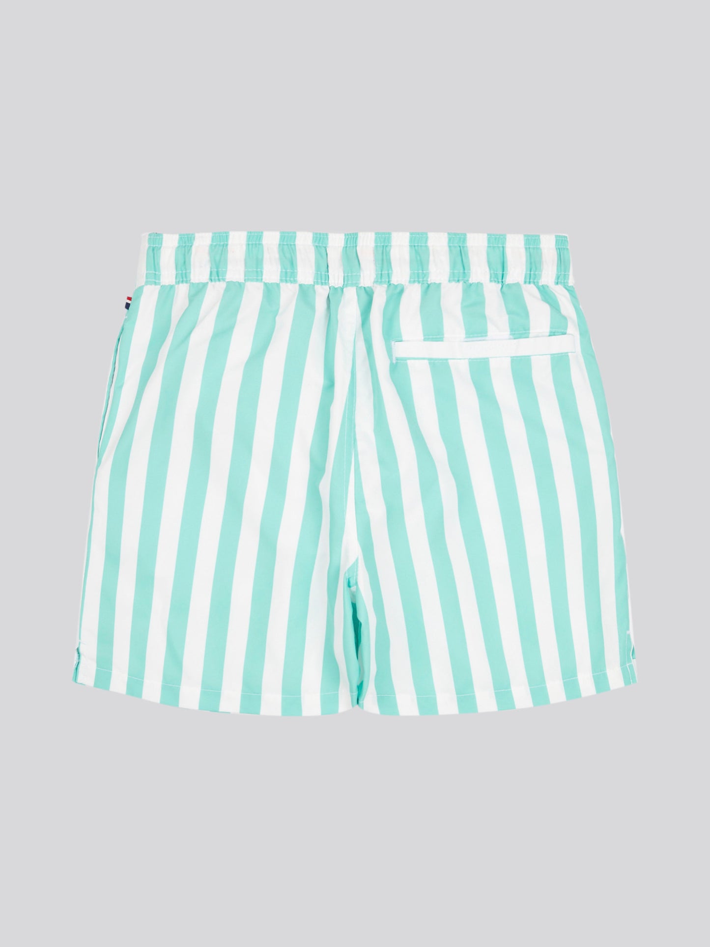 Boys Stripe Swim Short in Pool Blue