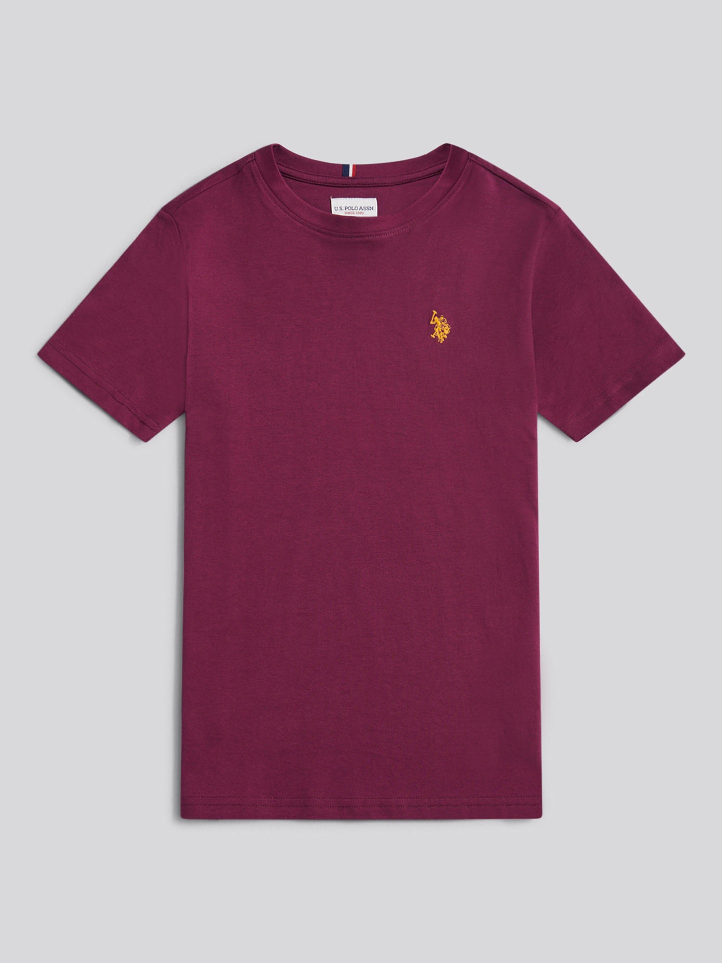 Boys Texture Double Horsemen T-Shirt in Grape Wine