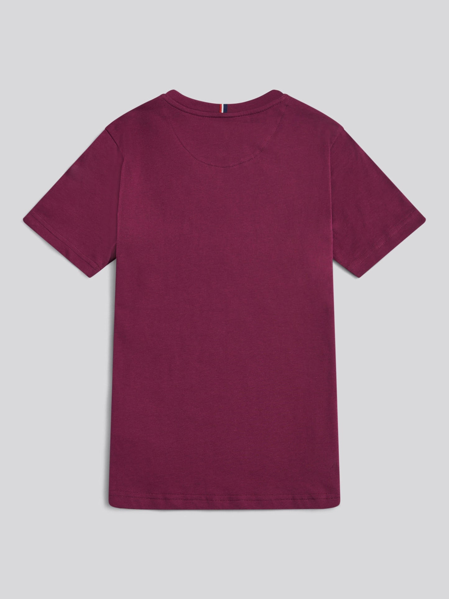 Boys Texture Double Horsemen T-Shirt in Grape Wine